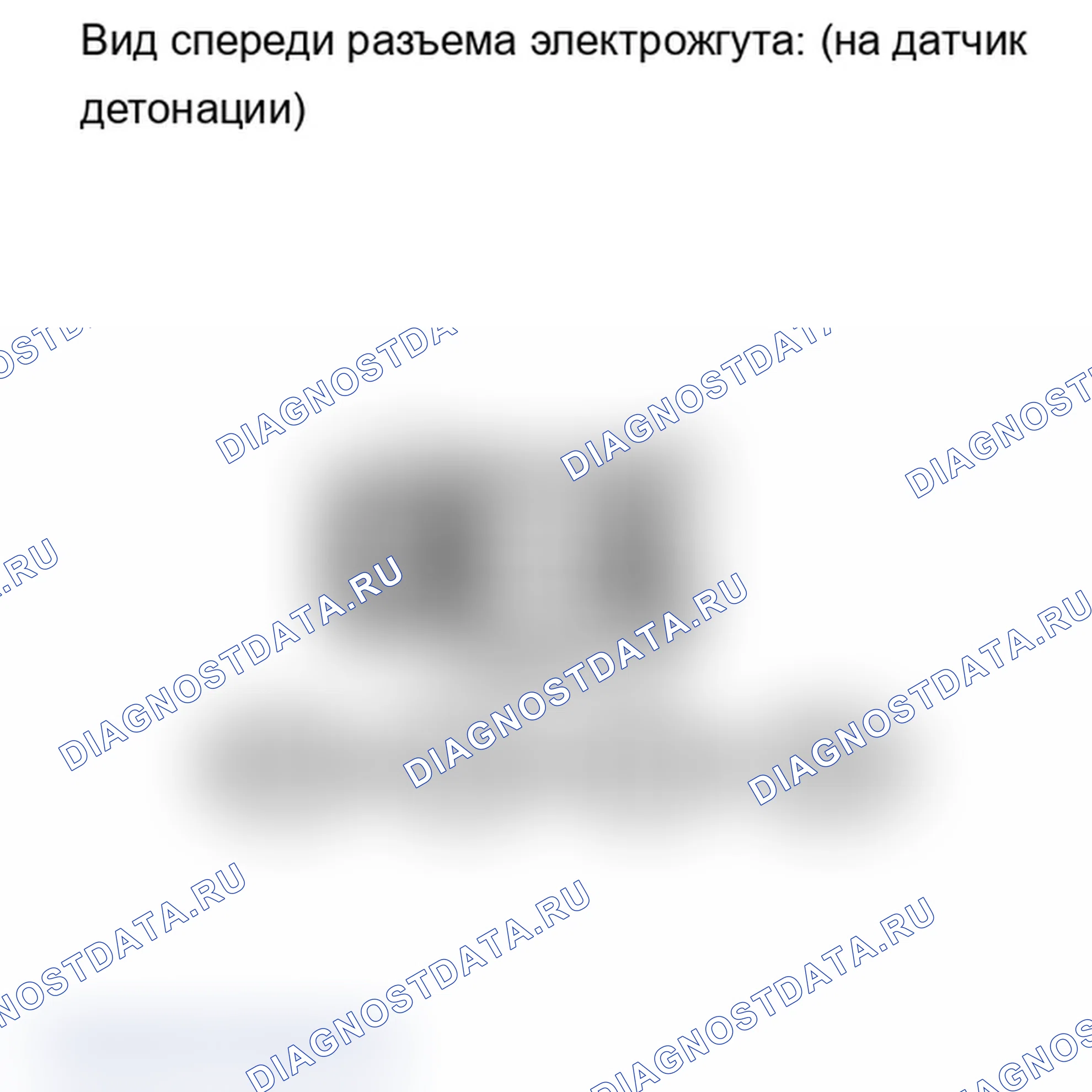 Рис. 293. Lexus IS F I