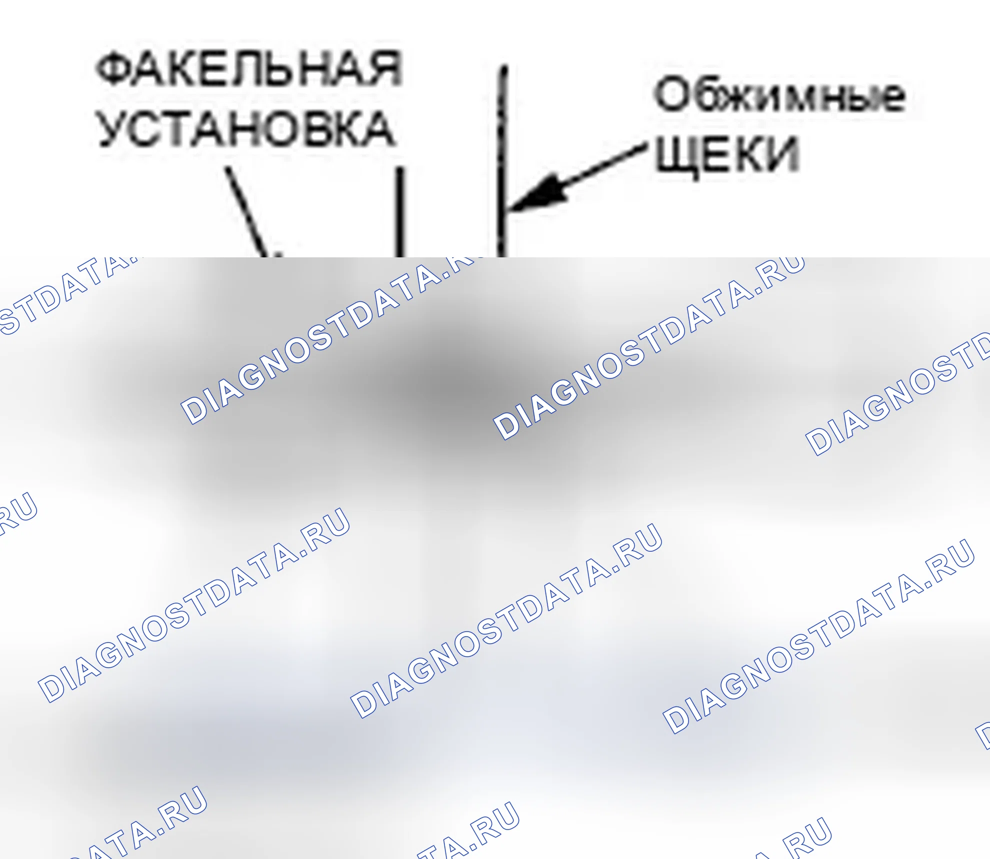 Рис. 1366. Honda Accord VII рестайлинг