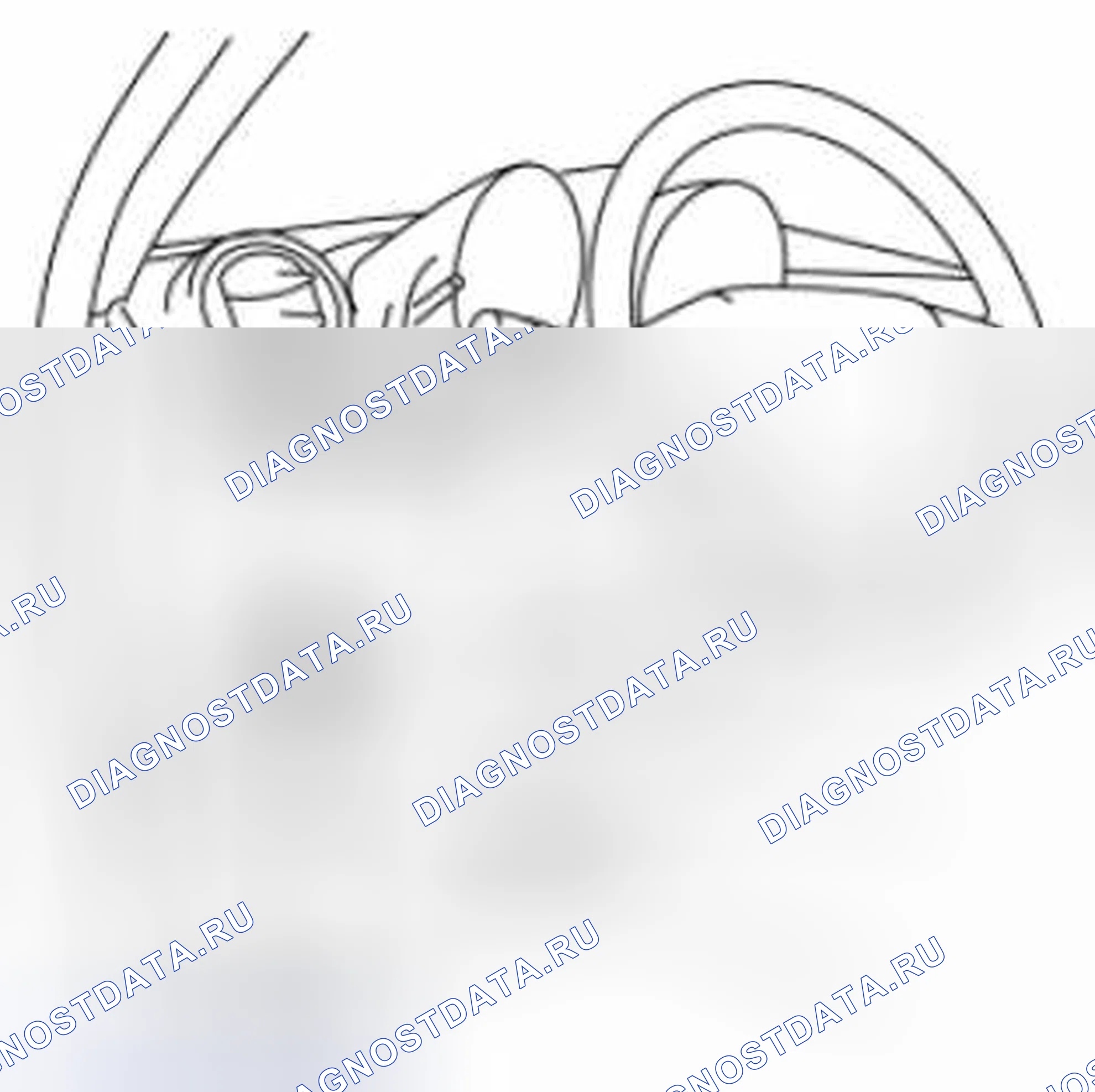 Рис. 42: Использование M-MDS. Mazda 3 BL рестайлинг