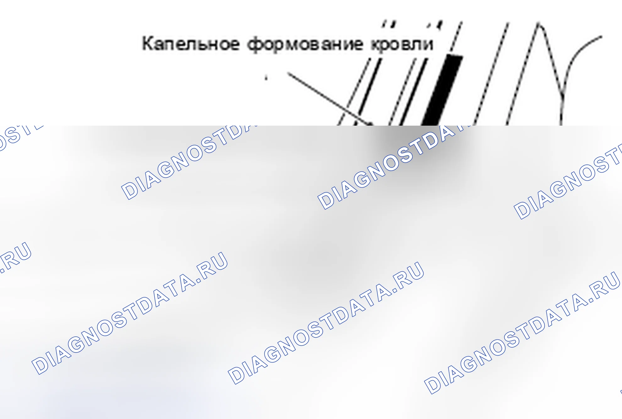 Рис. 6. Honda e:NP1 I