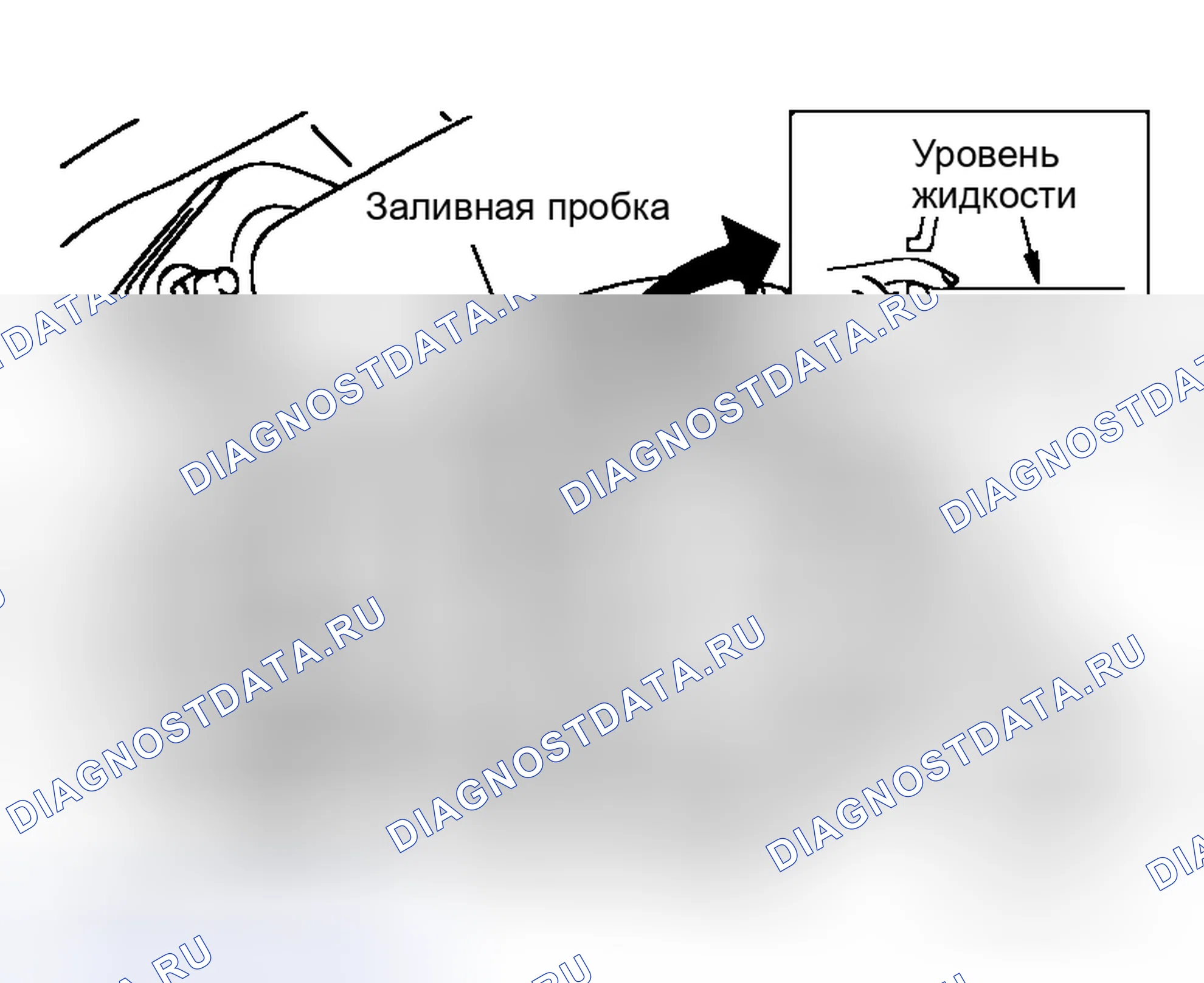 Рис. 12: ЗАПОЛНЕНИЕ. Honda Lagreat I