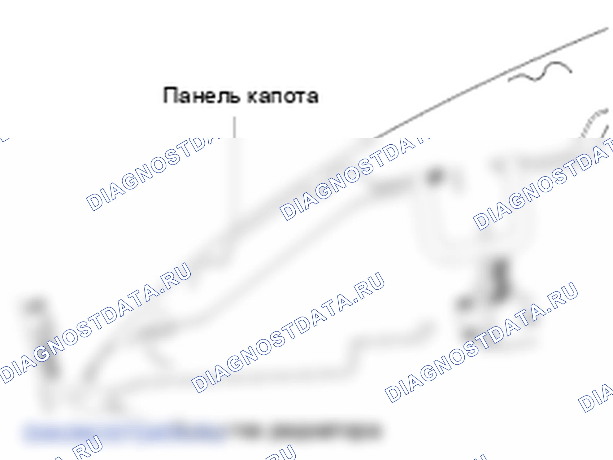 Размеры передней части тела. Hyundai Elantra V рестайлинг