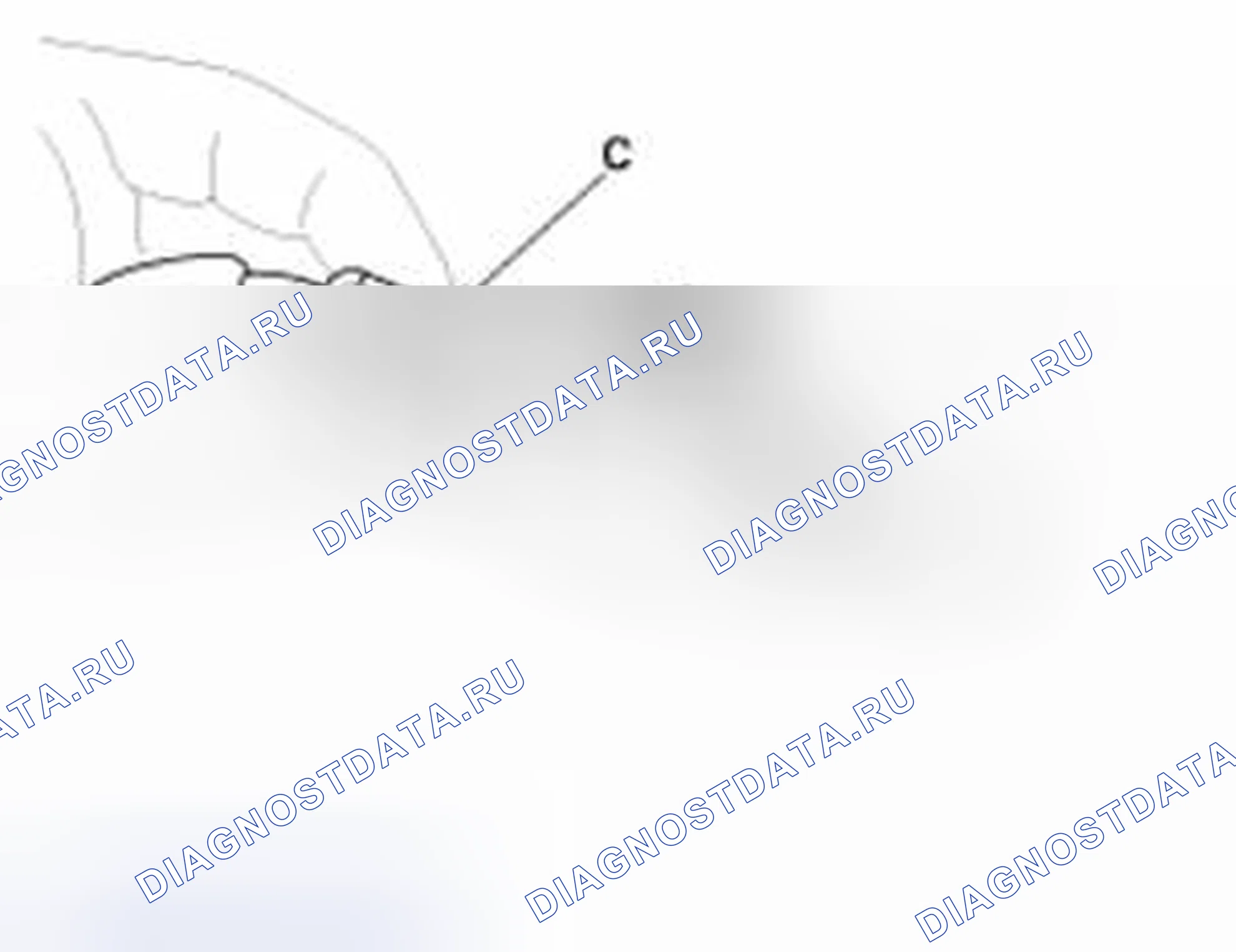 Рис. 24: Подключение. Haval Beast (Shenshou) I