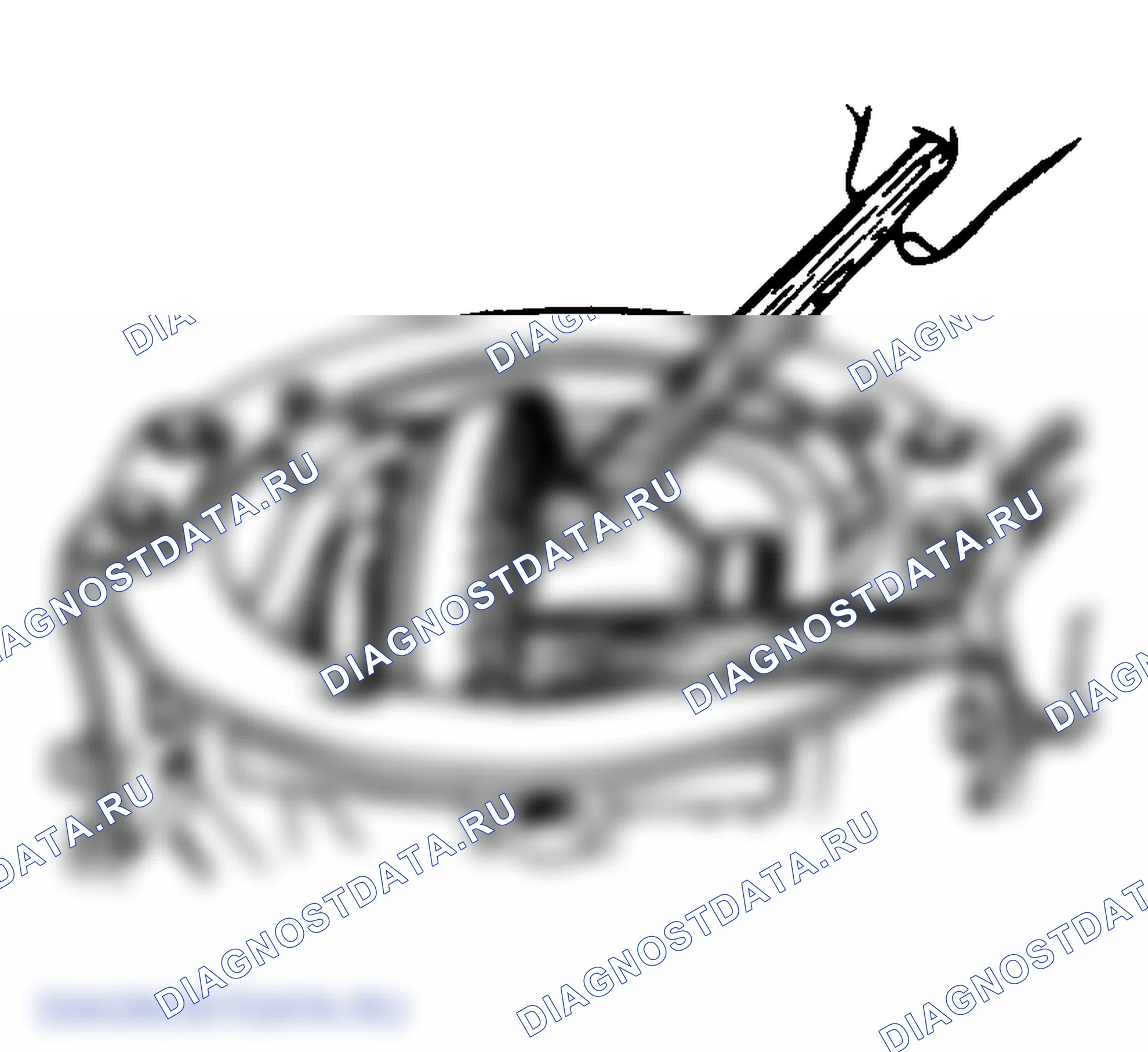 Рис. 2: РАЗБОРКА. Hyundai Santa Fe I