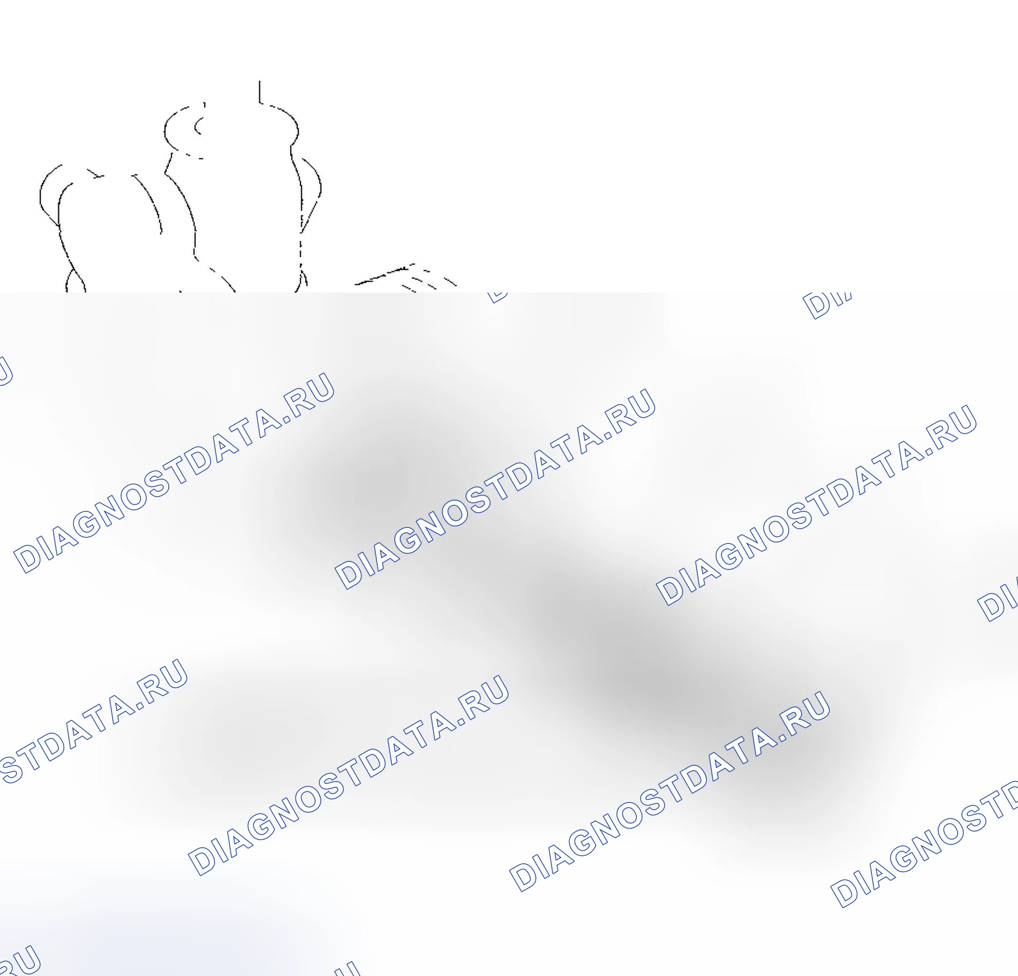 Рис. 96. Honda Element YH2