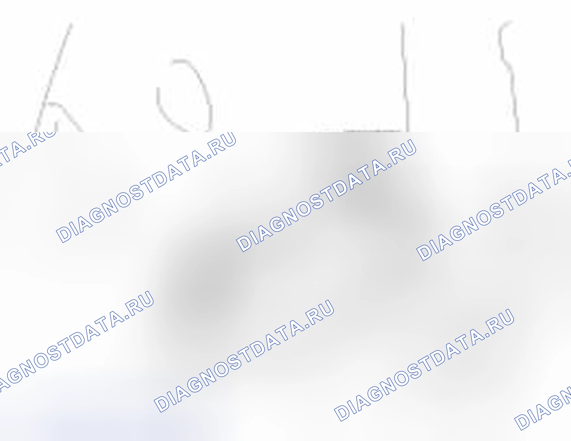 Рис. 72. Haval Beast (Shenshou) I