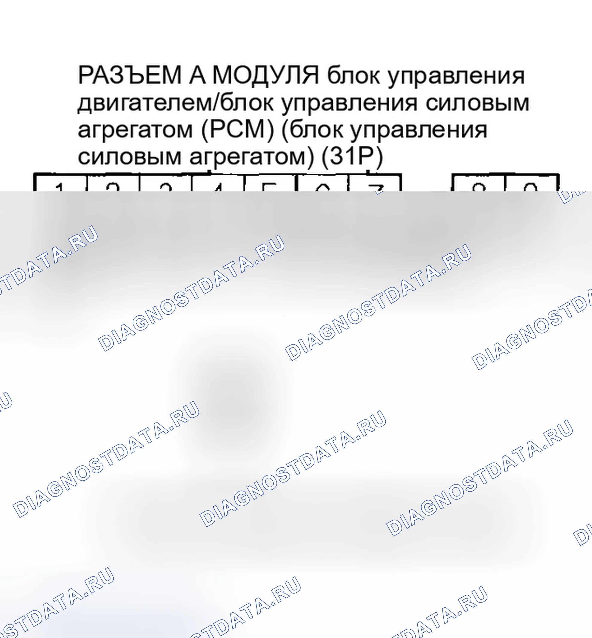 Рис. 249. Honda Accord VII рестайлинг