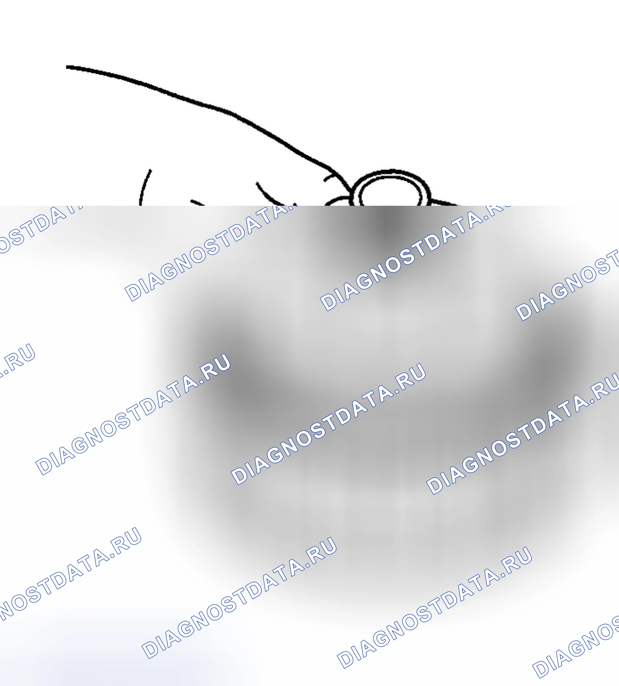 Рис. 208. Haval Chitu I