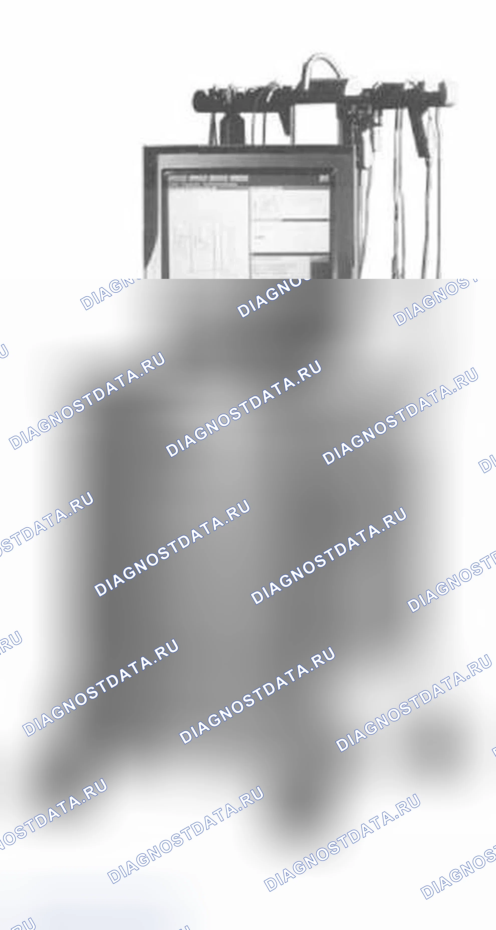 Рис. 227: С диагностической информационной системой BMW (DIS). BMW X3 E83