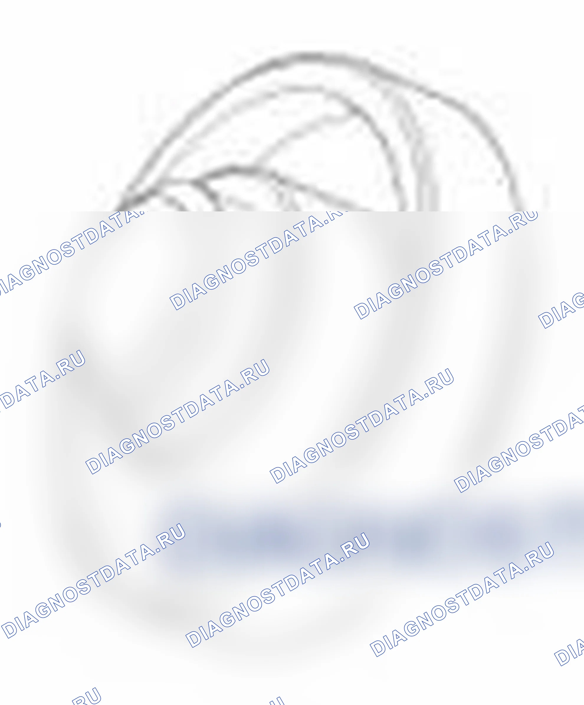 Рис. 115. Hyundai Santa Fe II рестайлинг