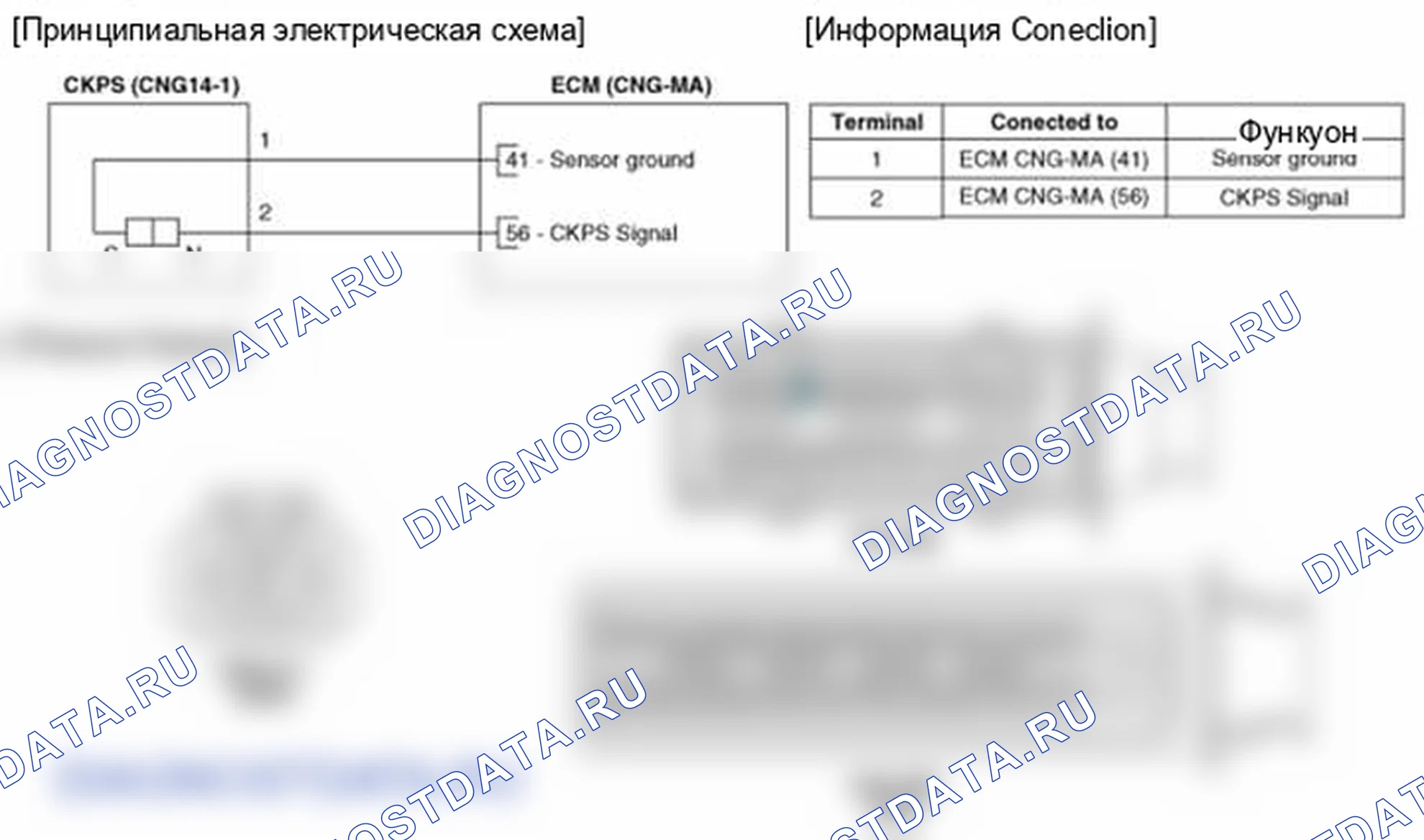 Рис. 11: (M / T). Hyundai Elantra V