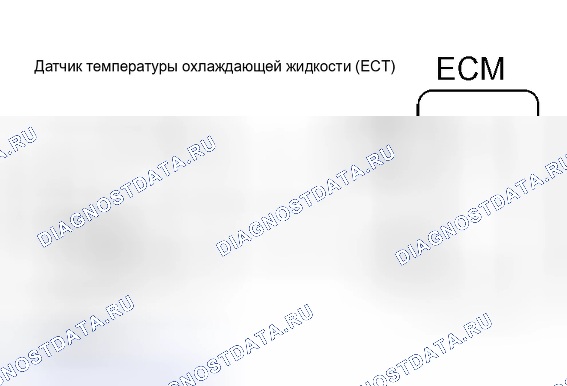 Рис. 94. Scion xB I
