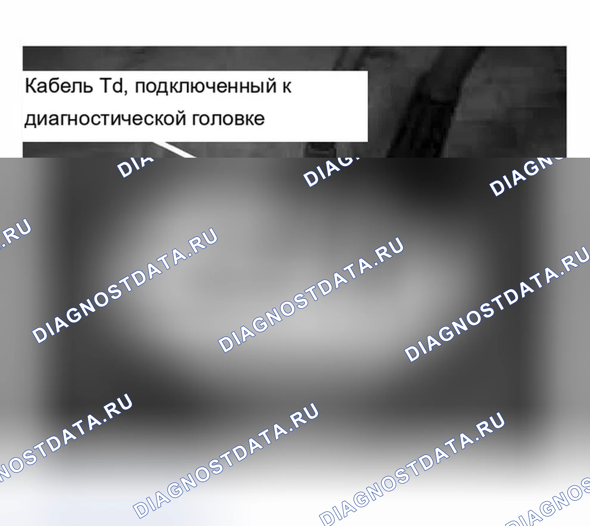 Рис. 579: Идентификация входного кабеля. BMW X5 E53