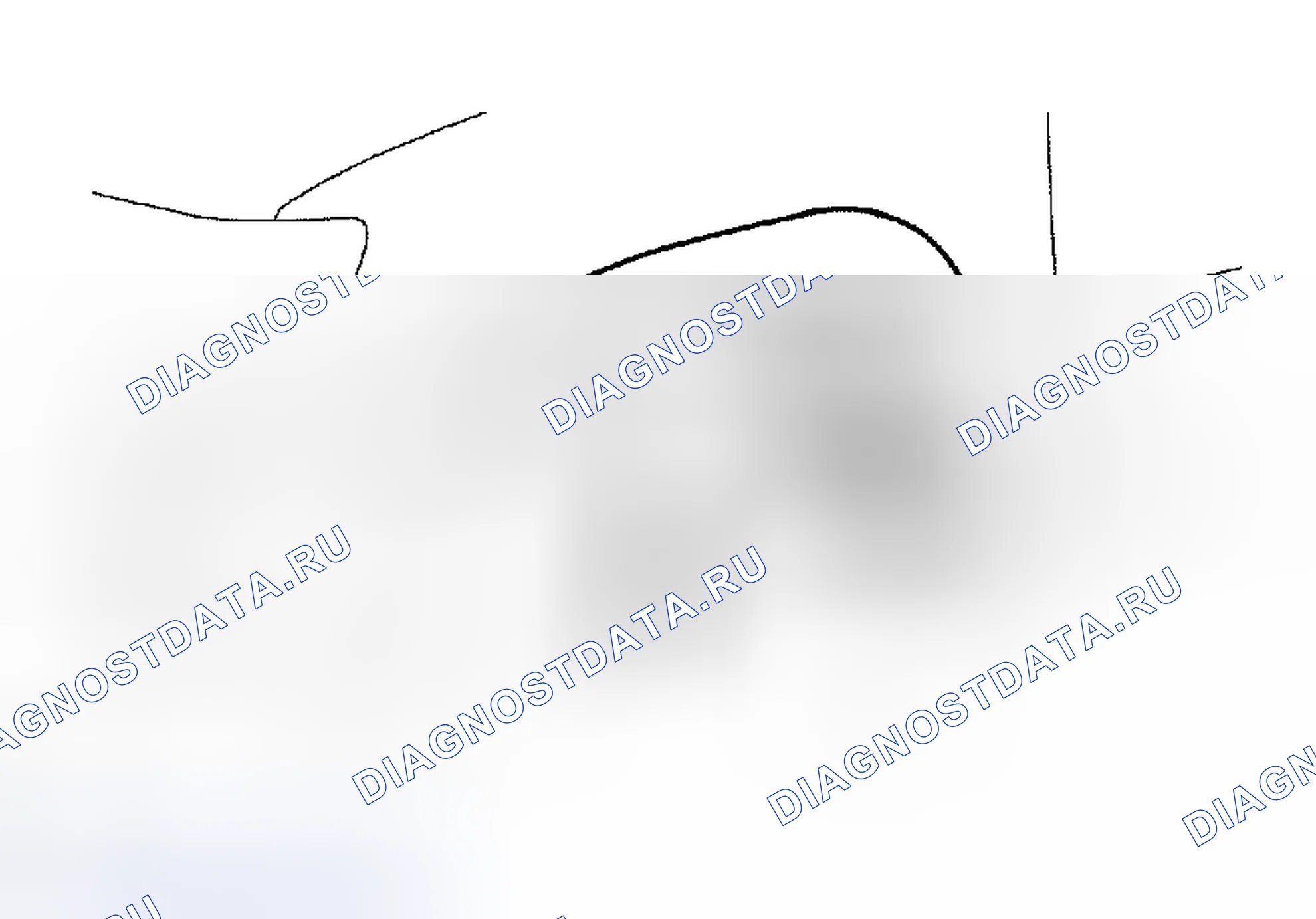 Рис. 433. Toyota Tacoma II