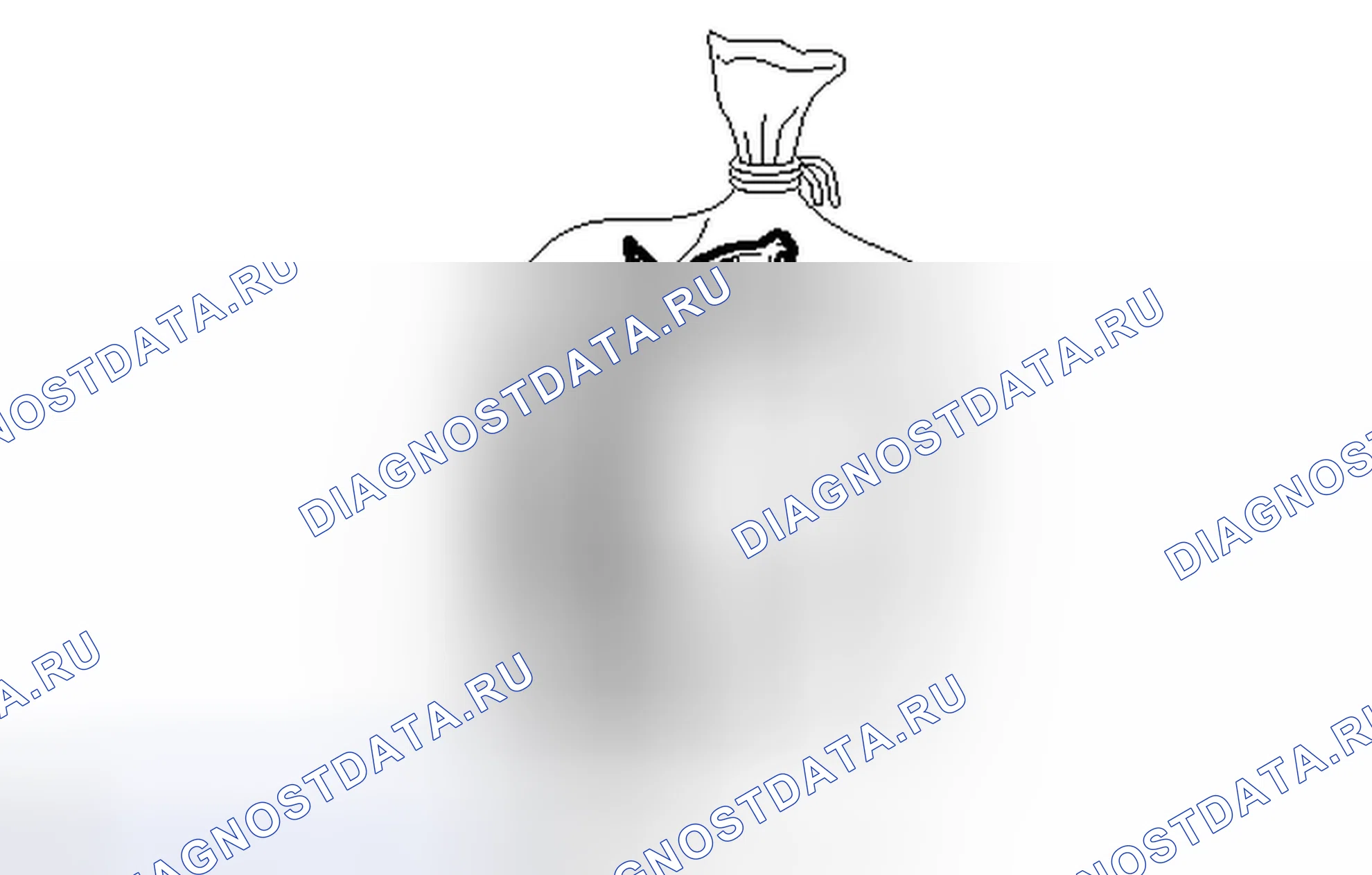 Рис. 68. Haval H6S I