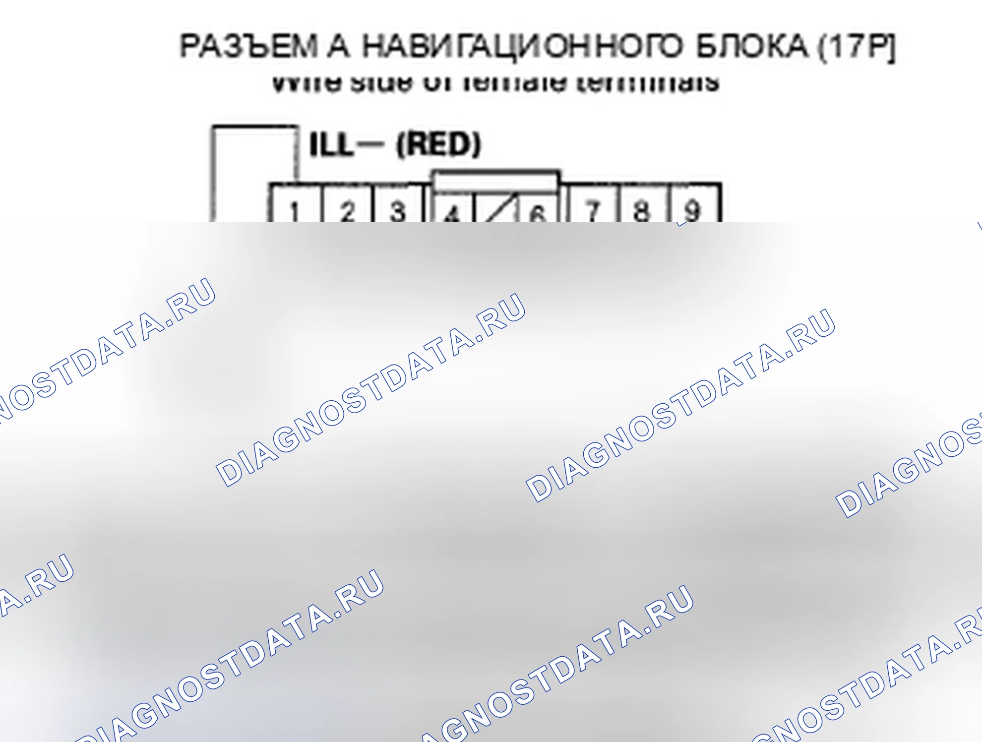 Рис. 121: Не работает подсветка кнопки навигационного блока (с навигацией). Honda Civic VIII