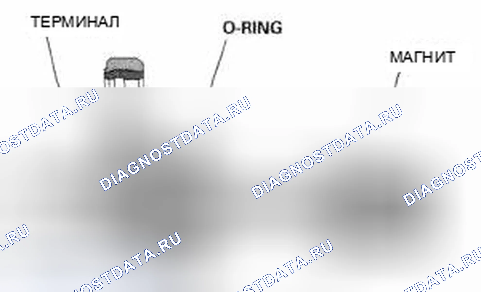 Рис. 446: Датчик положения коленчатого вала (Ckp). Honda Accord VIII