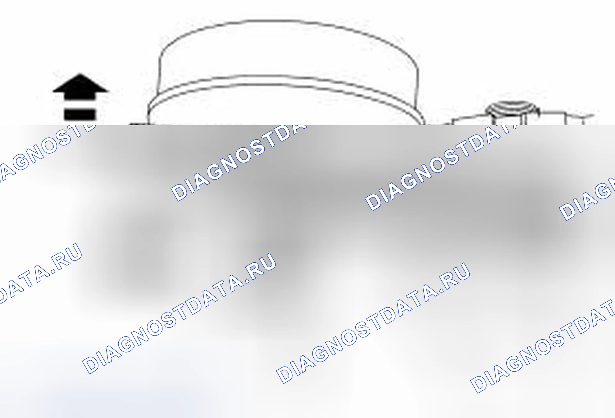 Рис. 320. Ford Freestyle I