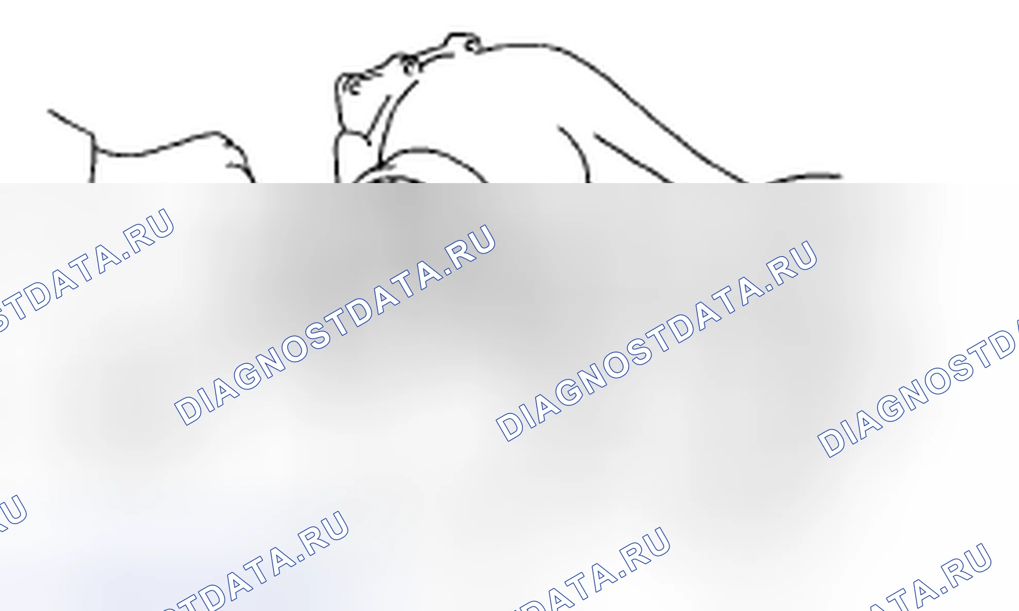 Рис. 145. Subaru Legacy BL/BP рестайлинг