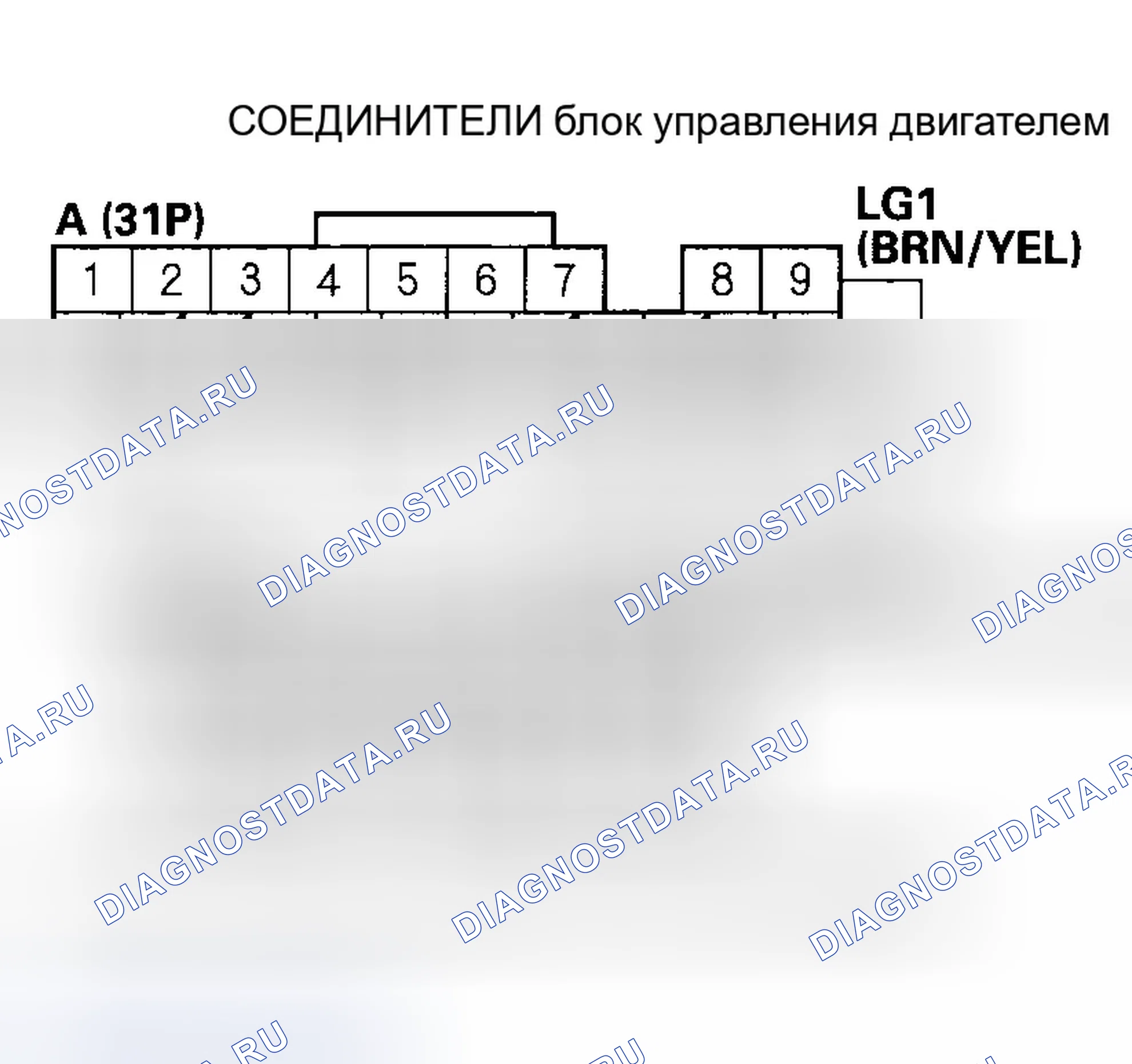 Рис. 133: Устранение неисправностей сигнальной цепи генератора переменного тока FR. Honda S2000 AP2 рестайлинг