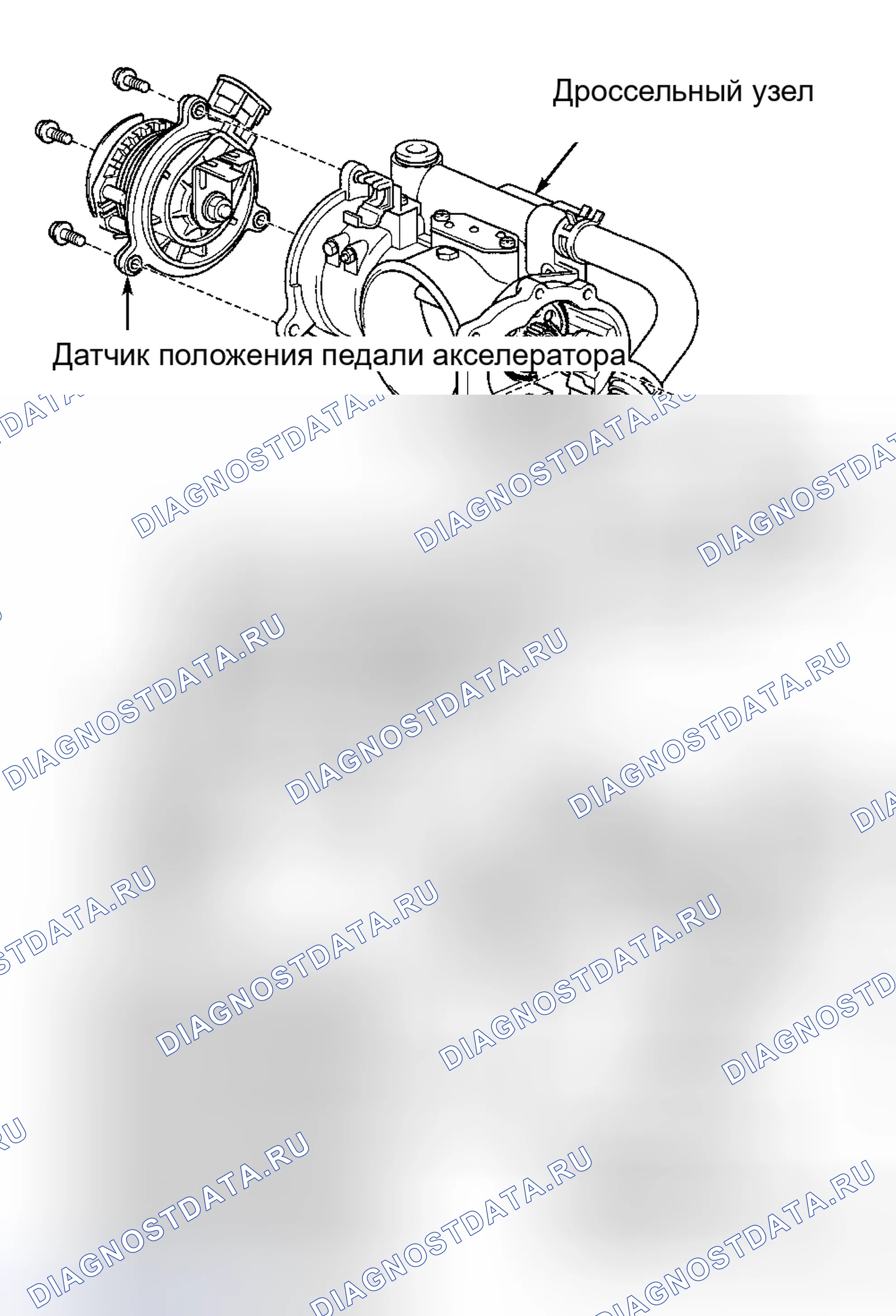 Рис. 66. Honda Accord II