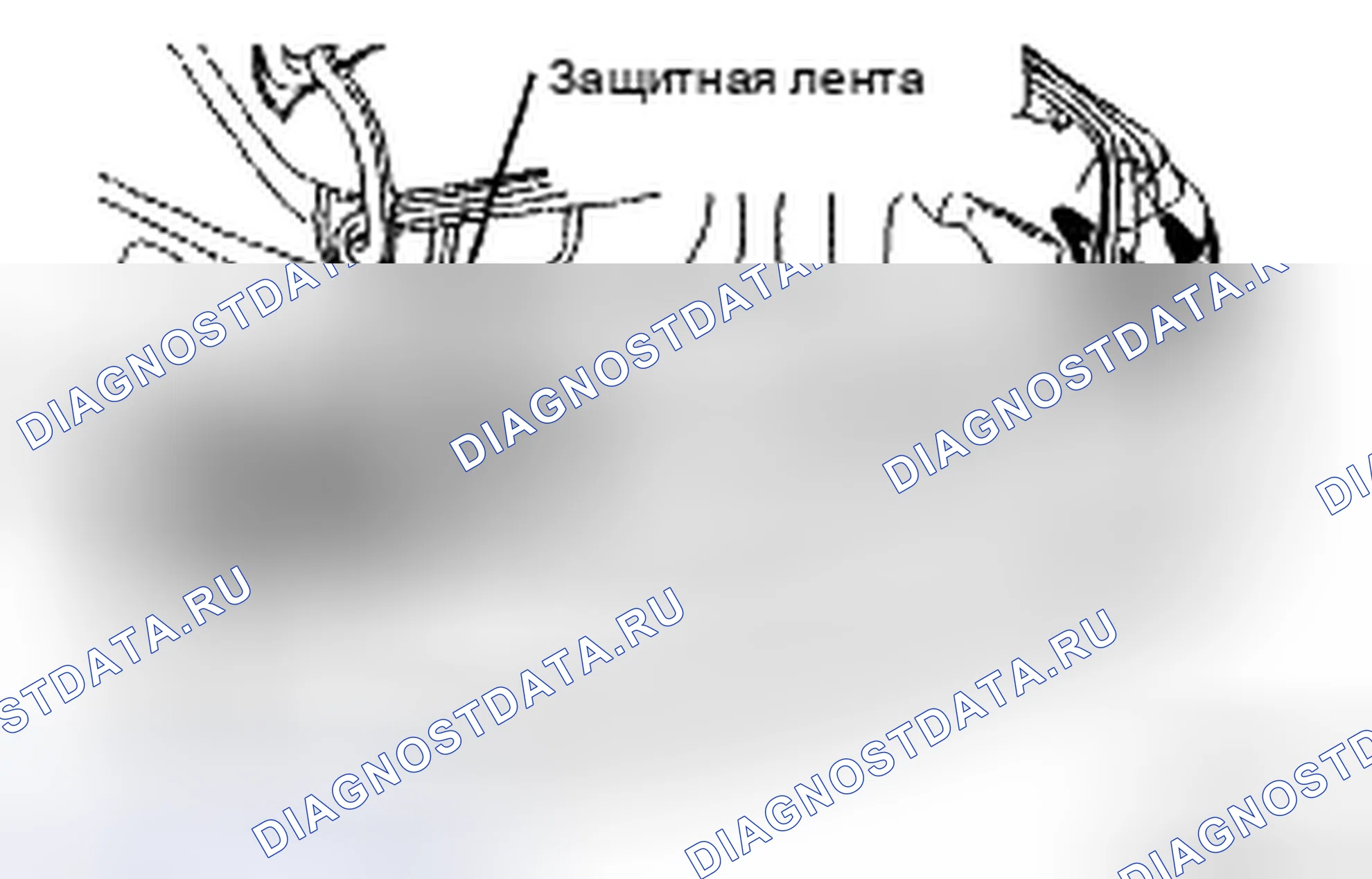 Рис. 76. Toyota Camry XV40