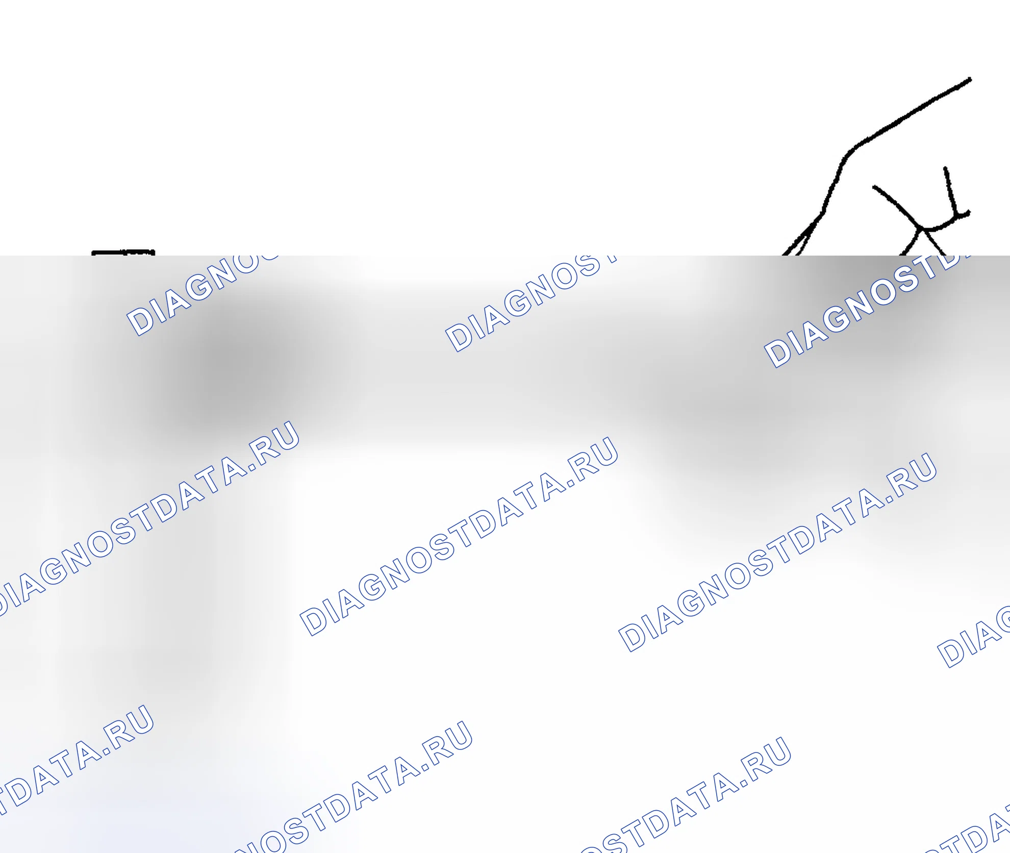 Рис. 1295. Hyundai Terracan I