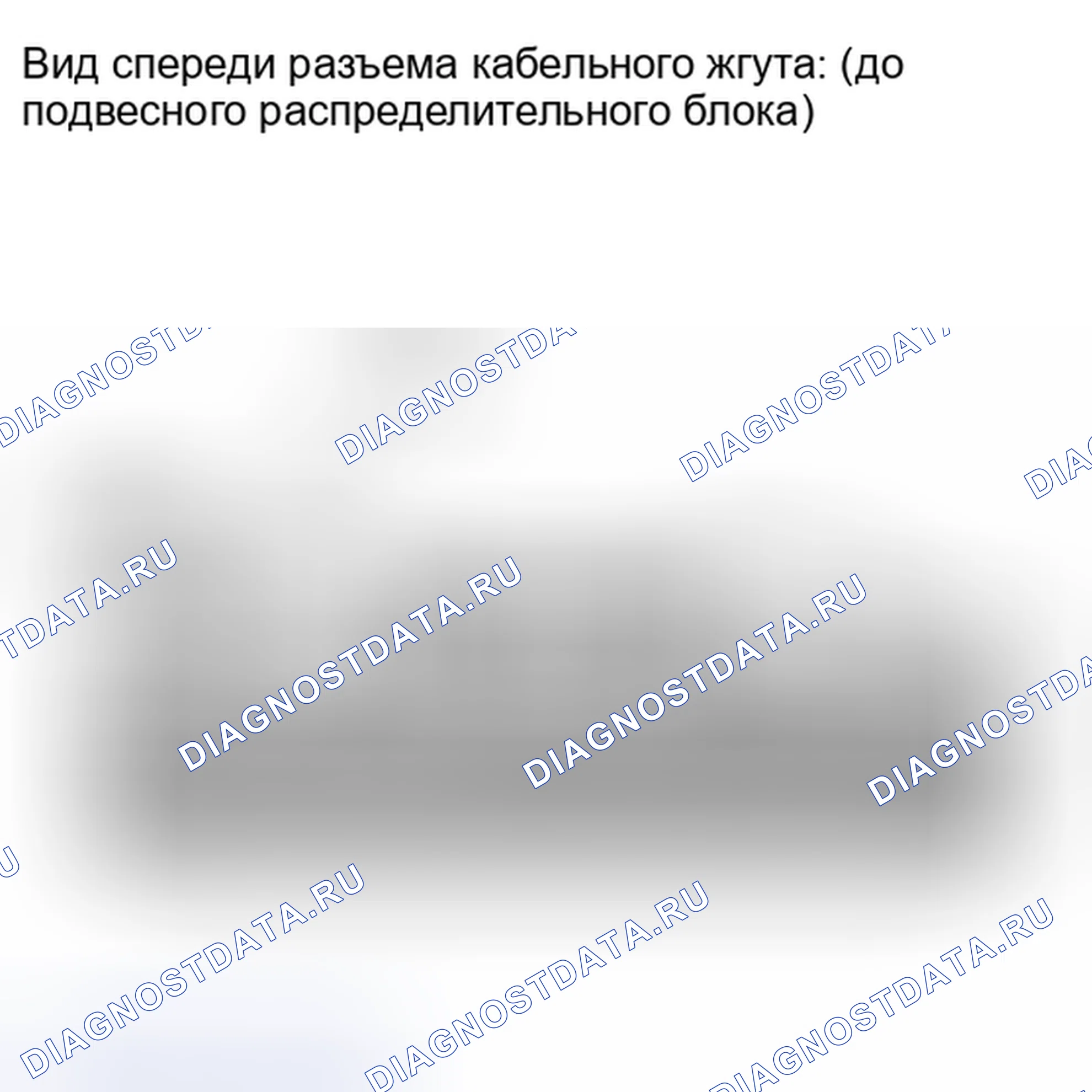Рис. 13. Lexus IS F I