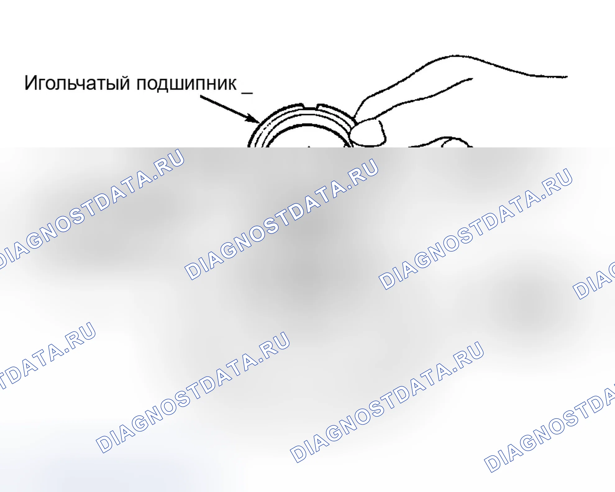 Рис. 58. Infiniti G20 II