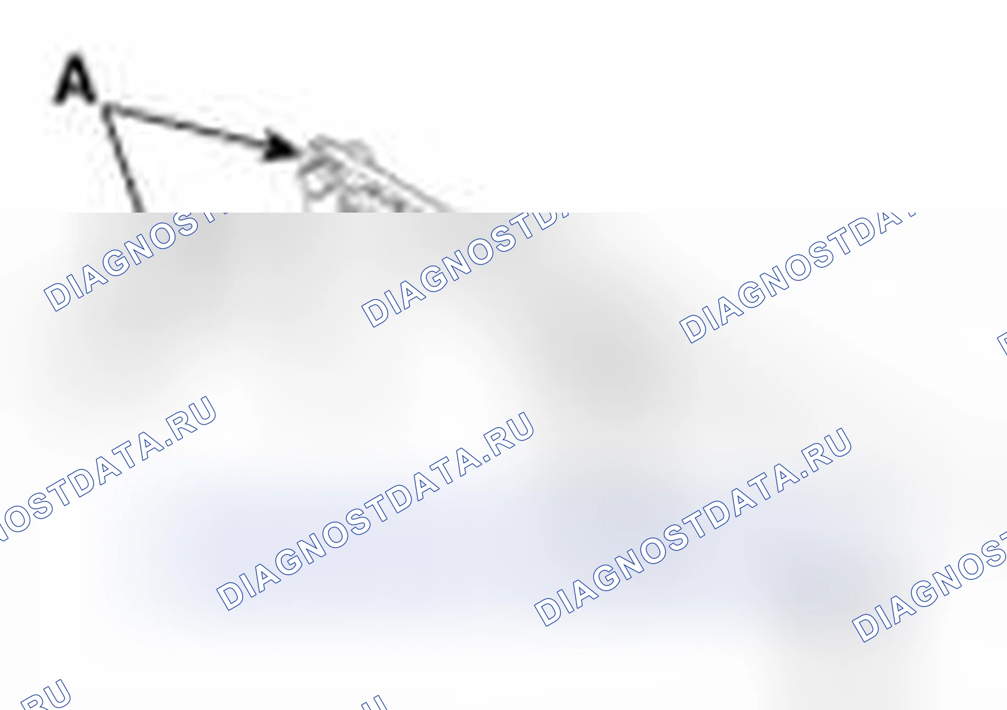 Рис. 61. Haval Beast (Shenshou) I