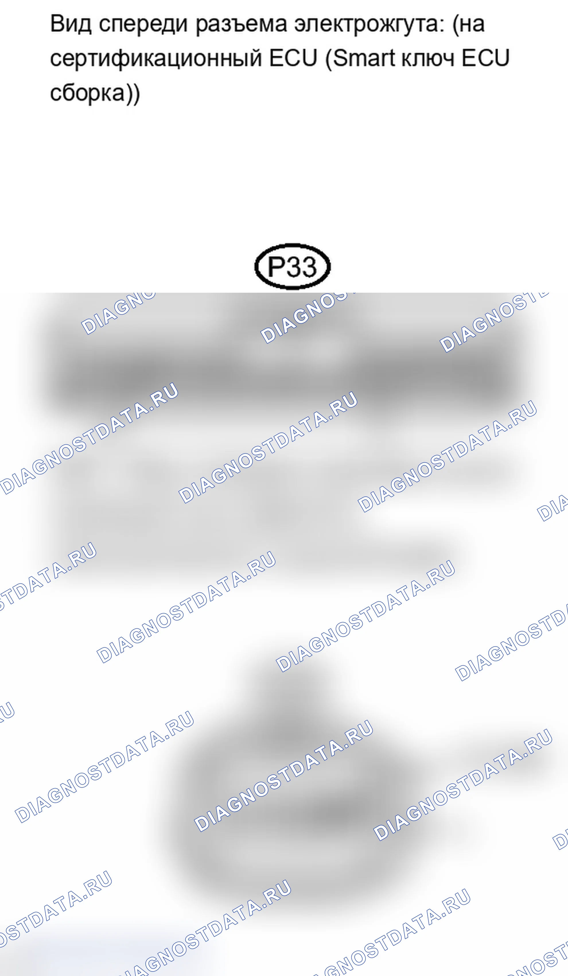Рис. 252. Lexus IS F I