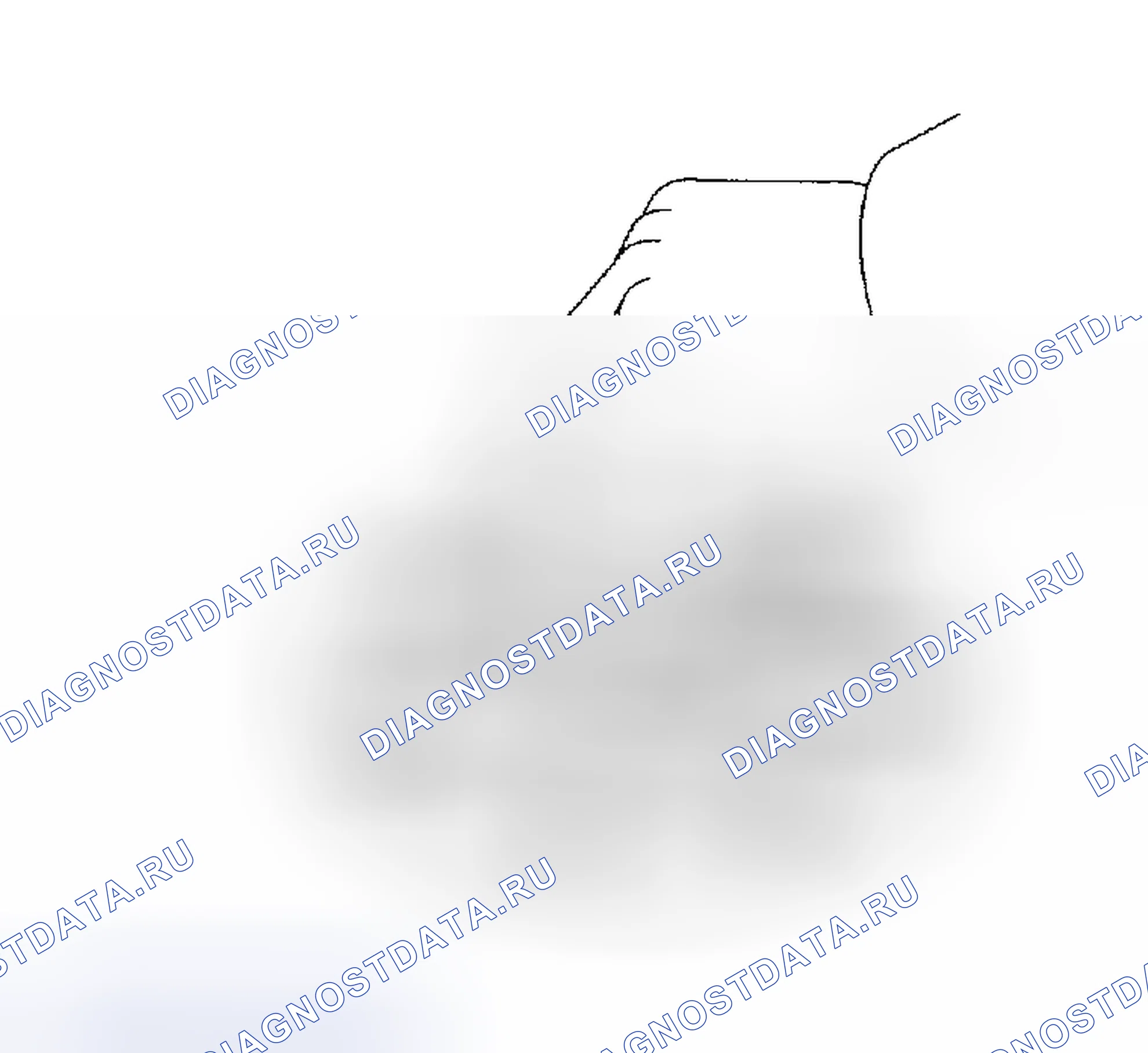 Рис. 118: ПРОЦЕДУРА КОНТРОЛЯ. Haval H5 I