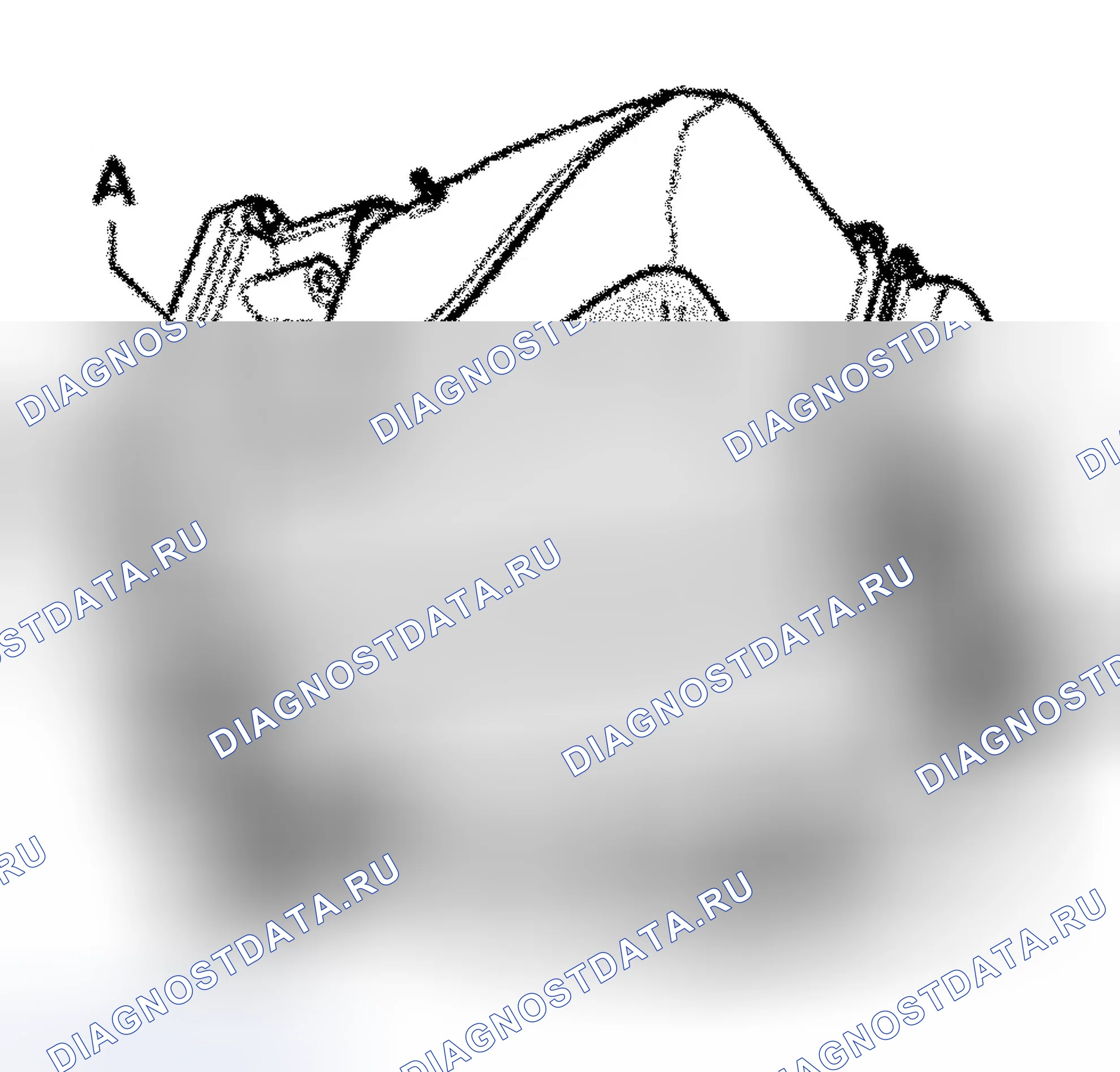 Рис. 7. Audi TT 8N рестайлинг