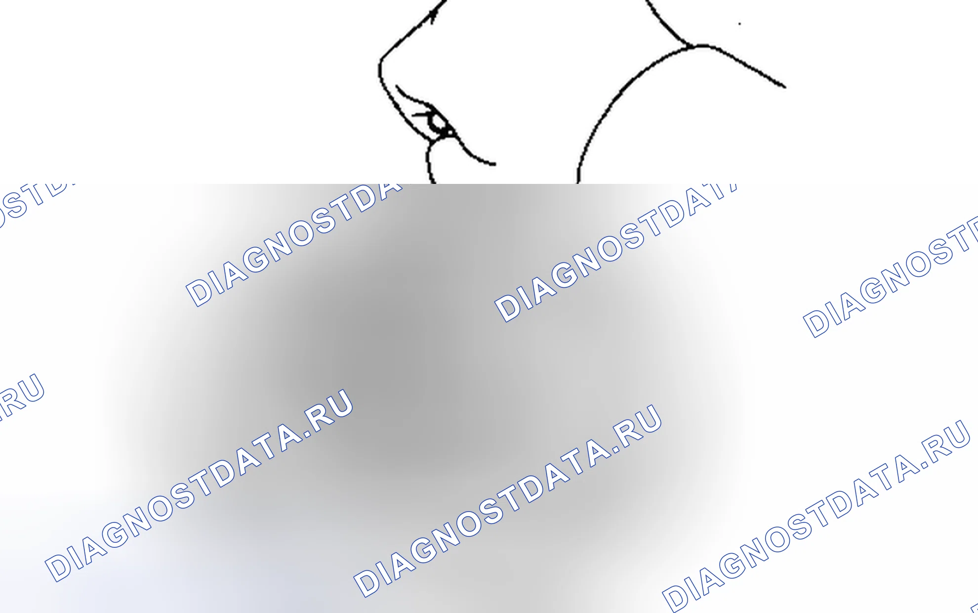 Рис. 786. Toyota Tacoma II рестайлинг