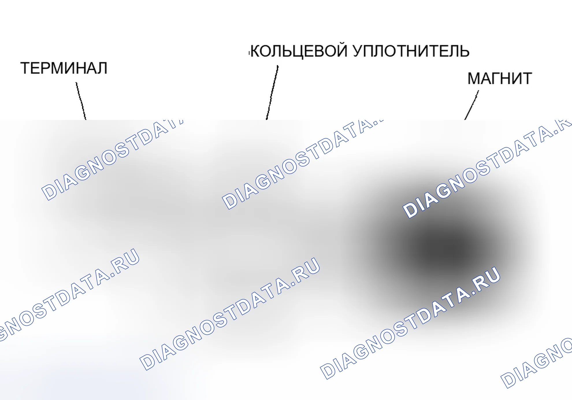 Рис. 187: Датчик положения коленчатого вала (Ckp). Honda Civic VII рестайлинг