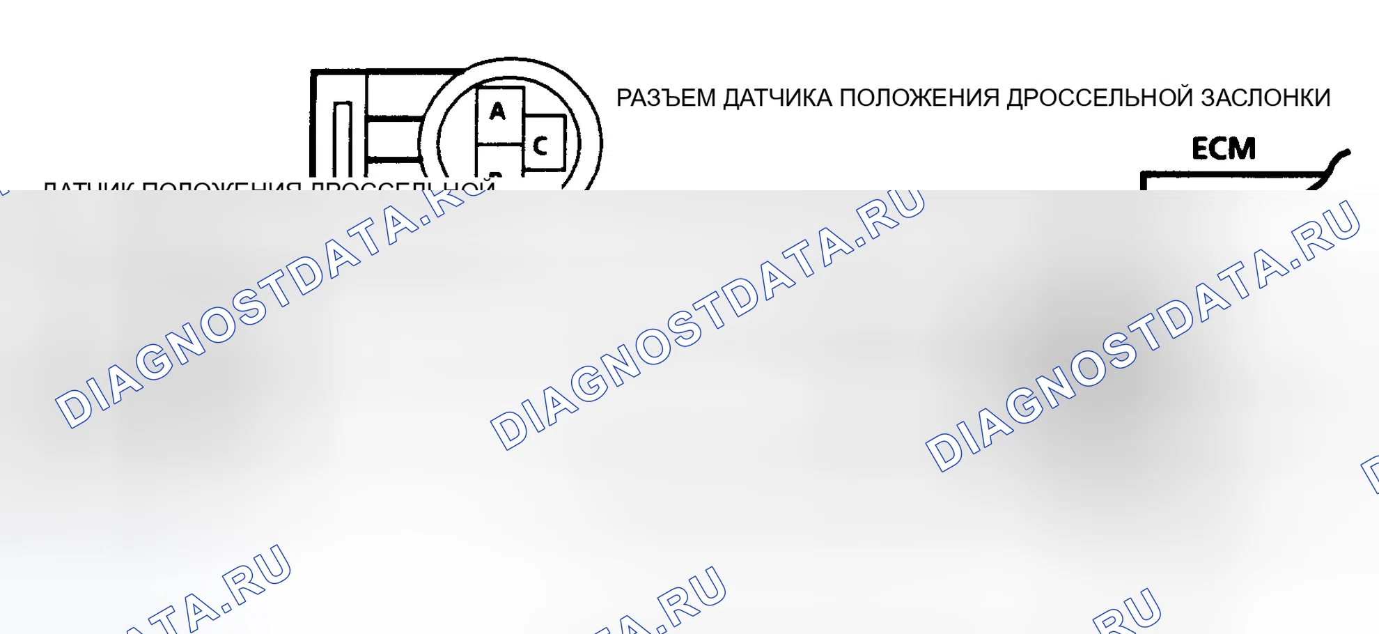 Рис. 430: Код 21 Схема: датчик положения дроссельной заслонки сигнал напряжение высокий (A/J/N/P кузов). Pontiac Grand AM III