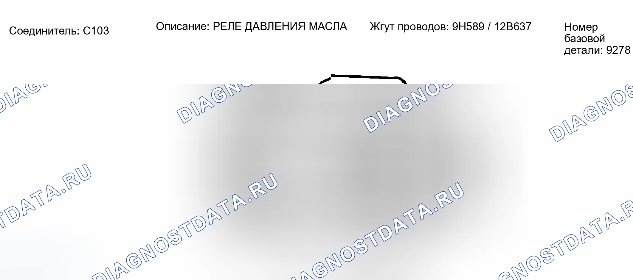 Рис. 50: Идентификация разъема C103. Ford Escape I рестайлинг