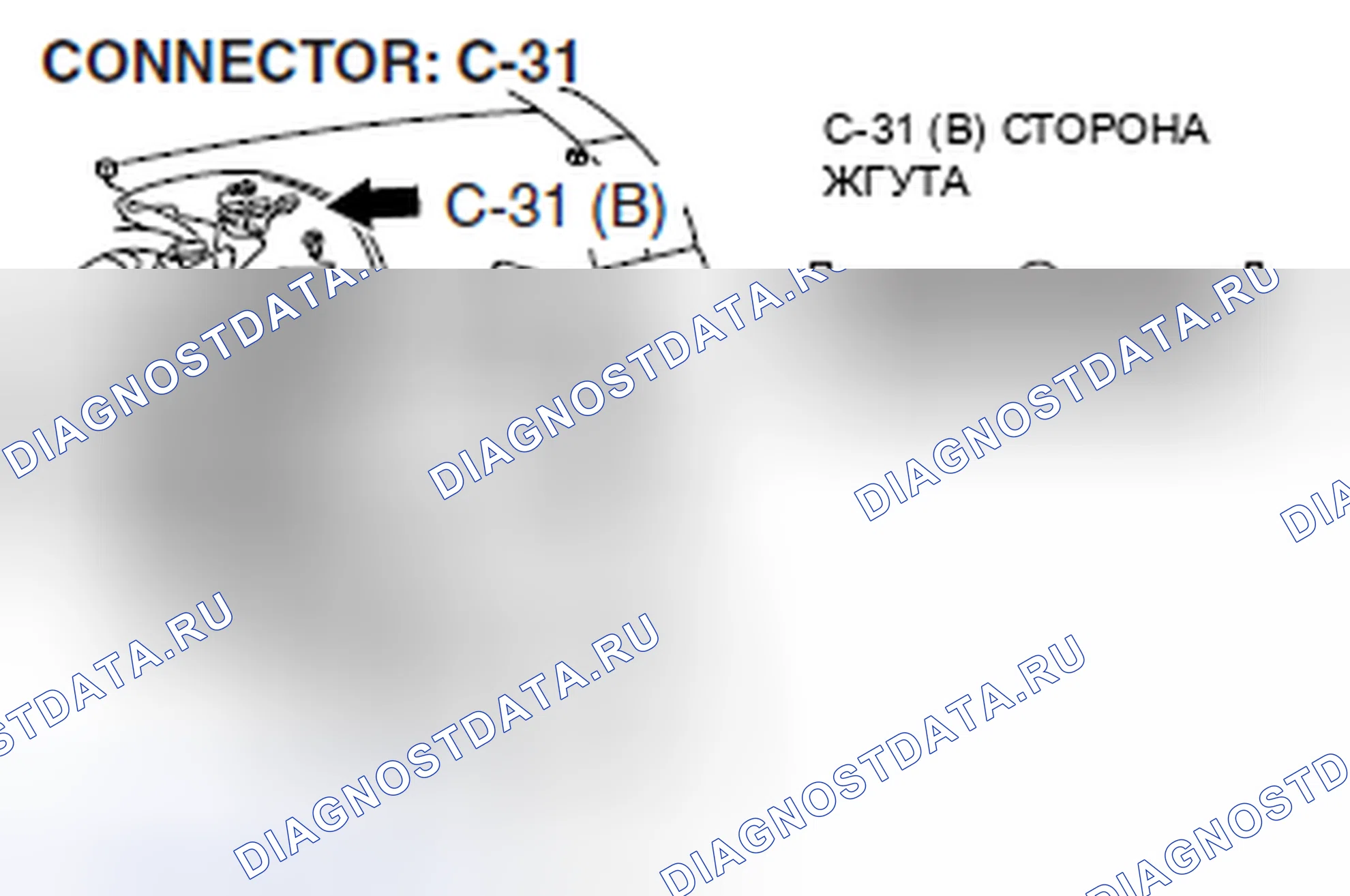 Рис. 12. Honda Crosstour I рестайлинг
