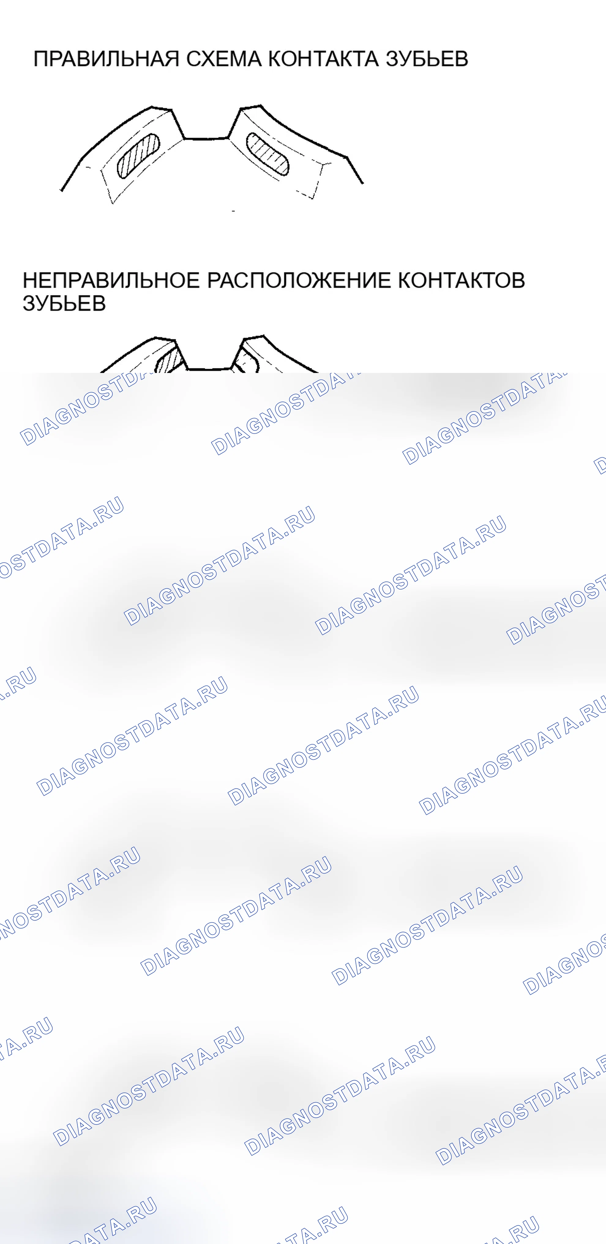 Рис. 209. Honda Element YH2