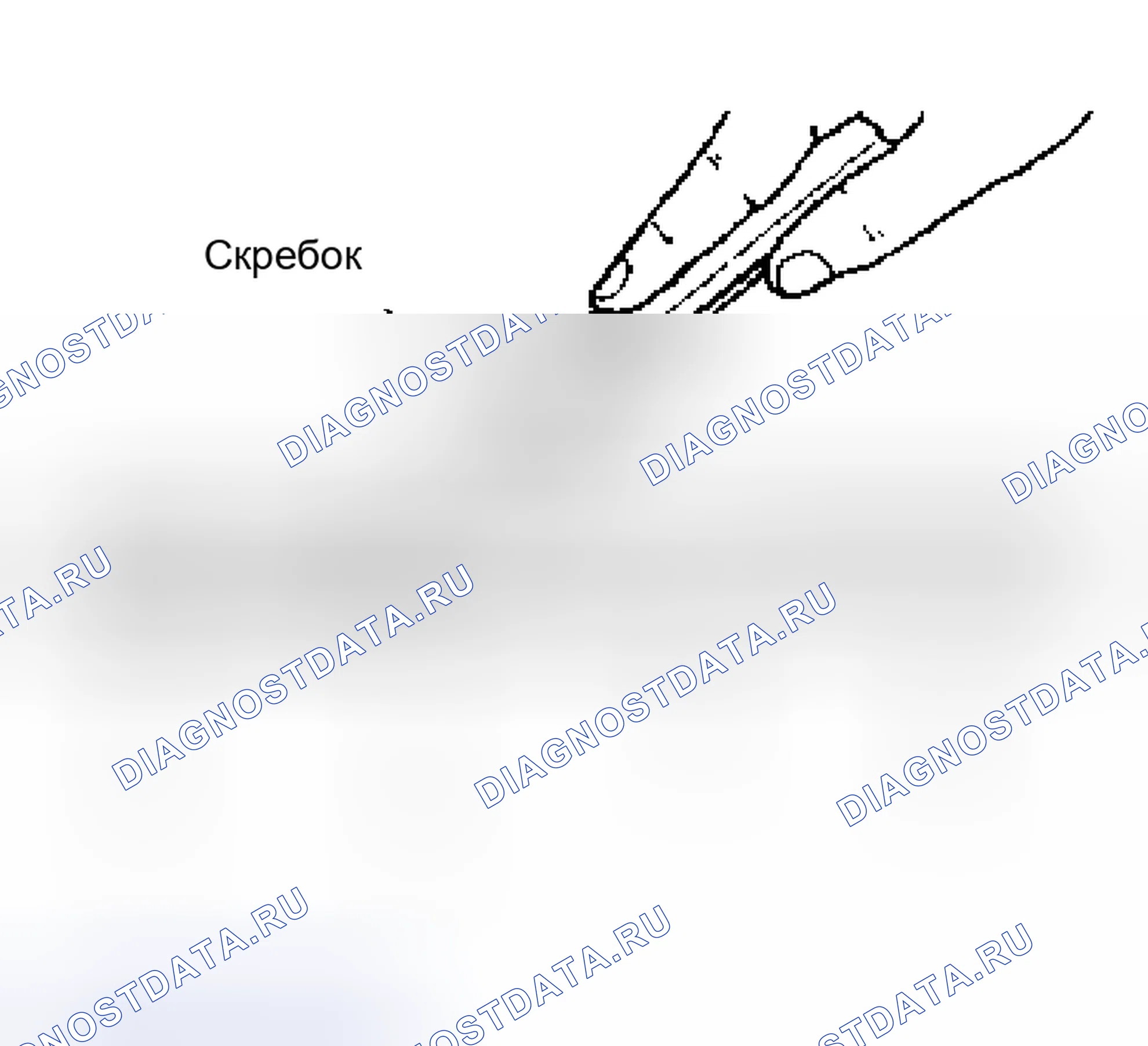 Рис. 29: ПРОЦЕДУРА УСТАНОВКИ ЖИДКОСТНОЙ ПРОКЛАДКИ. Nissan Murano Z50