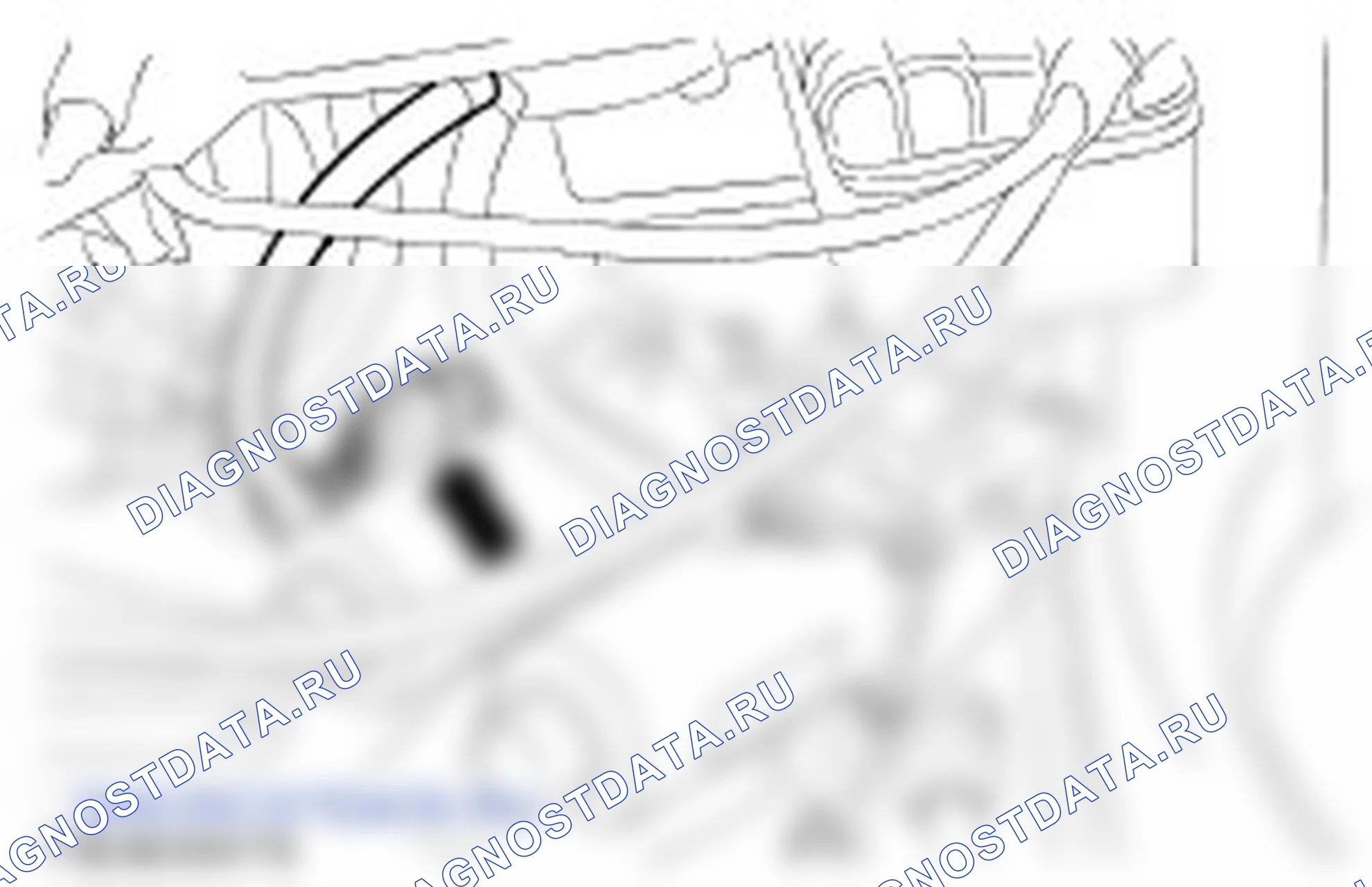 трансмиссия — 1.25L Duratec-16V (Sigma)/1.4L Duratec-16V (Sigma)/1.6L Duratec-16V (Sigma): описание и работа. Ford Ikon I