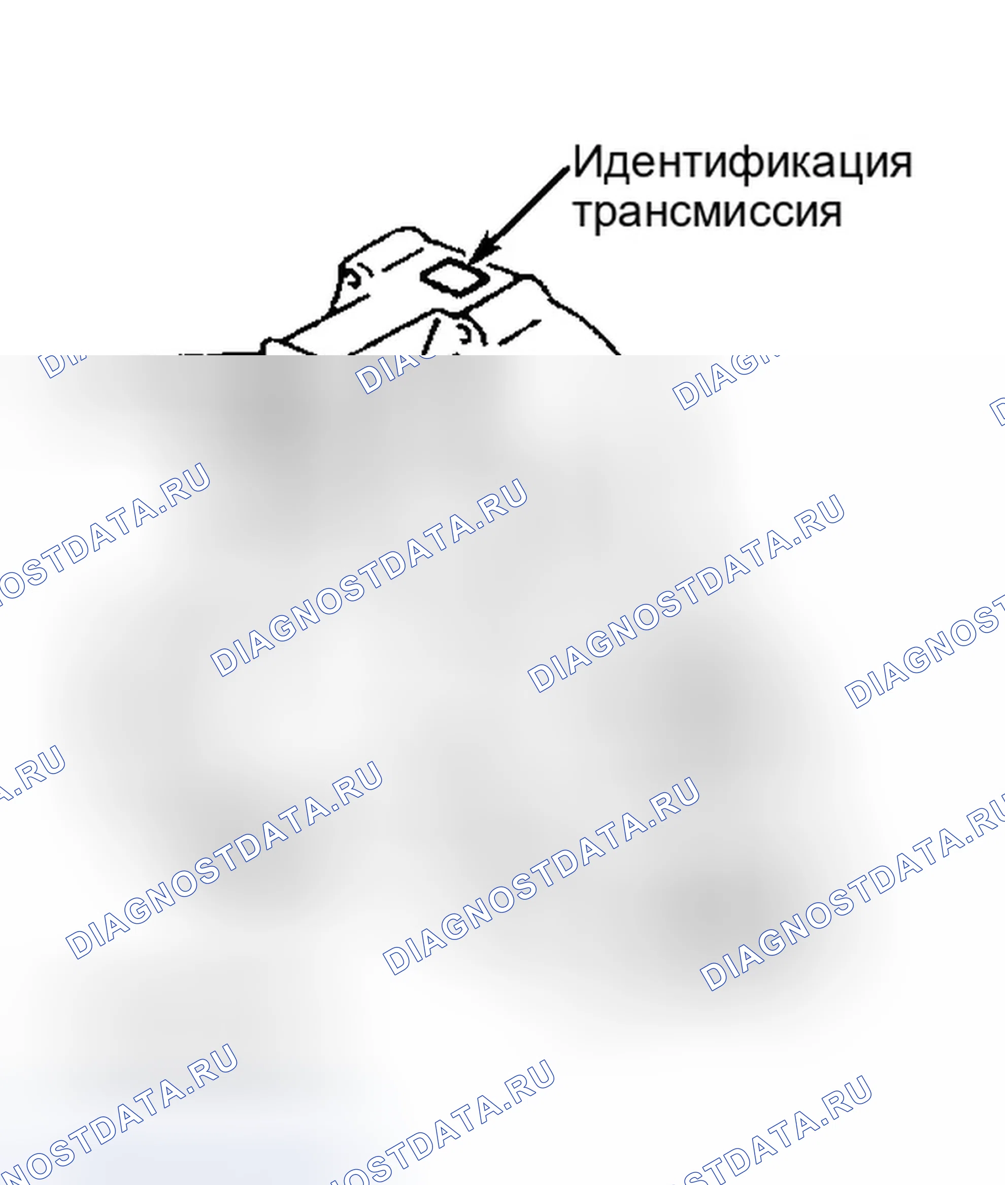 Рис. 2. Infiniti G20 II