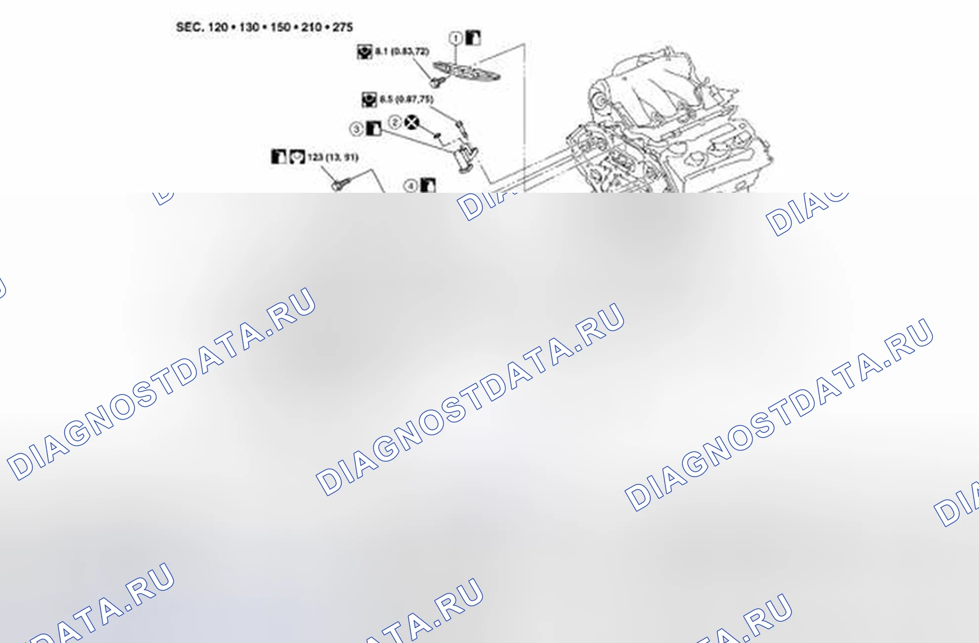 Рис. 226: Цепь синхронизации: покомпонентный вид. Suzuki Equator I