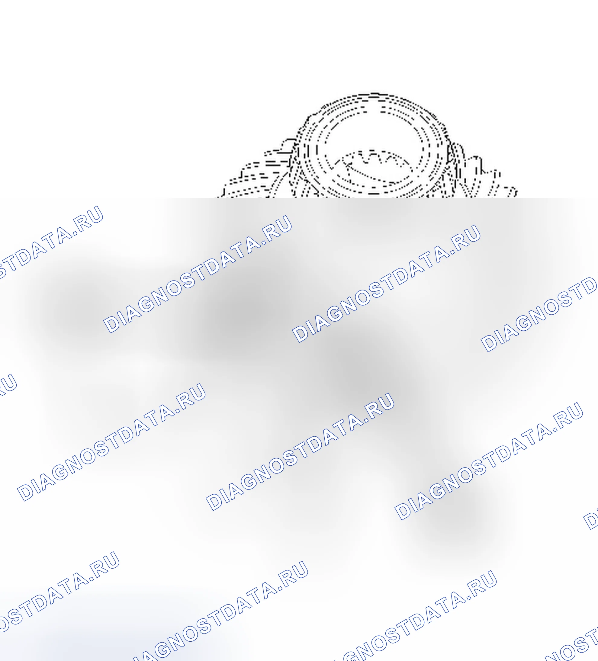 Рис. 107: ДИФФЕРЕНЦИАЛЬНАЯ РАЗБОРКА. Dodge Magnum I рестайлинг