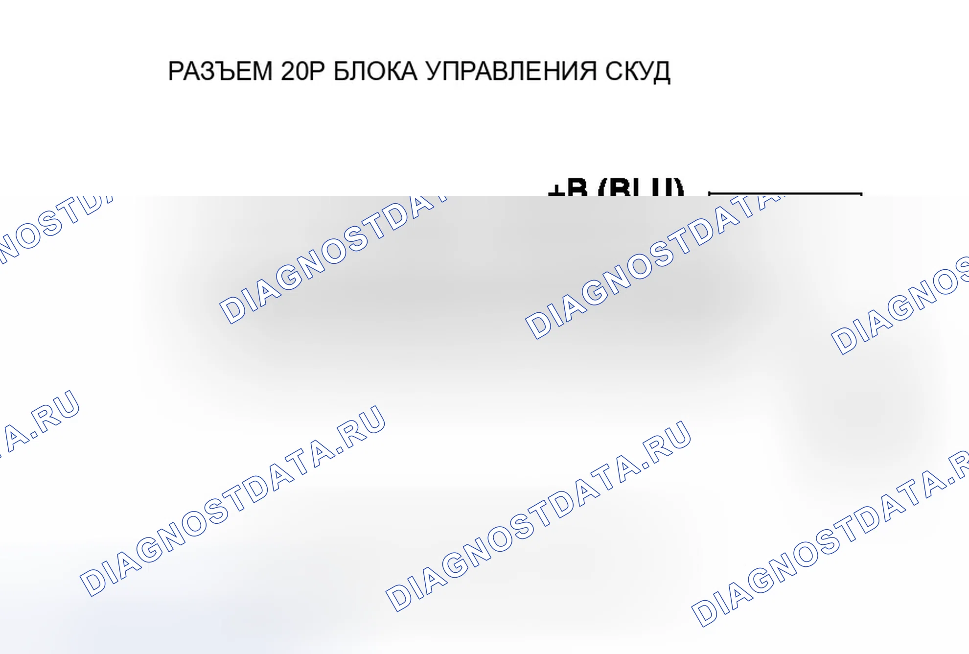 Рис. 56: Индикатор TPMS не гаснет, и коды неисправностей не сохраняются. Honda Civic VIII рестайлинг