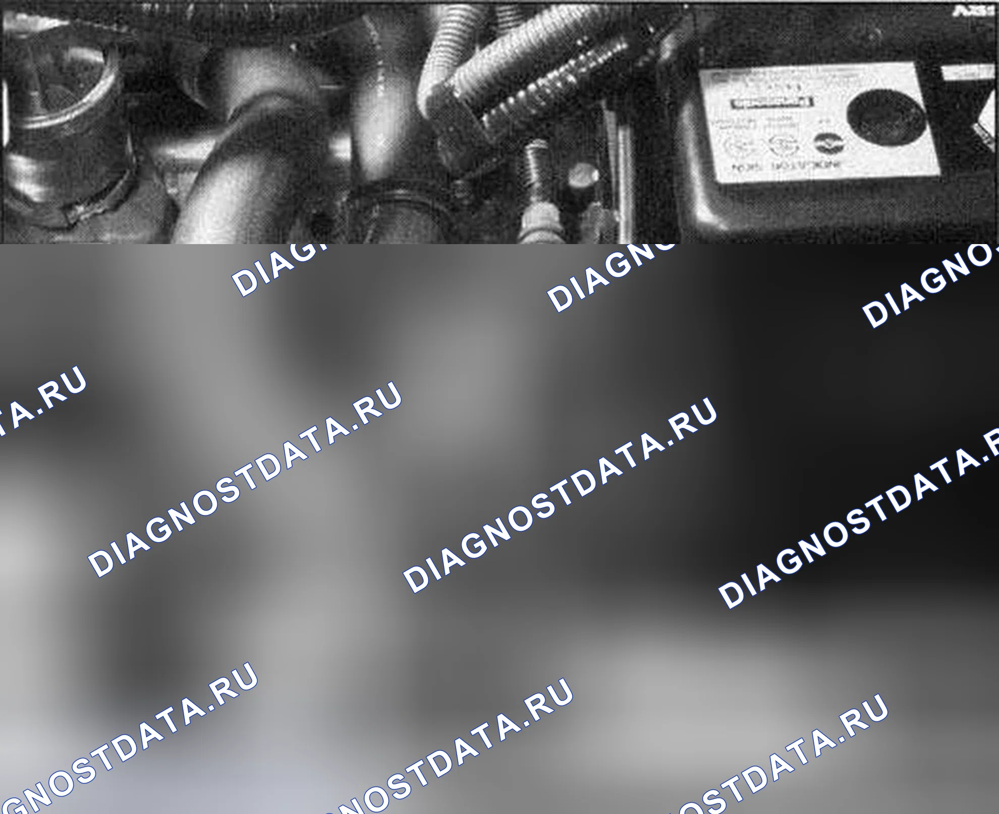 Рис. 31. Honda Accord VII рестайлинг