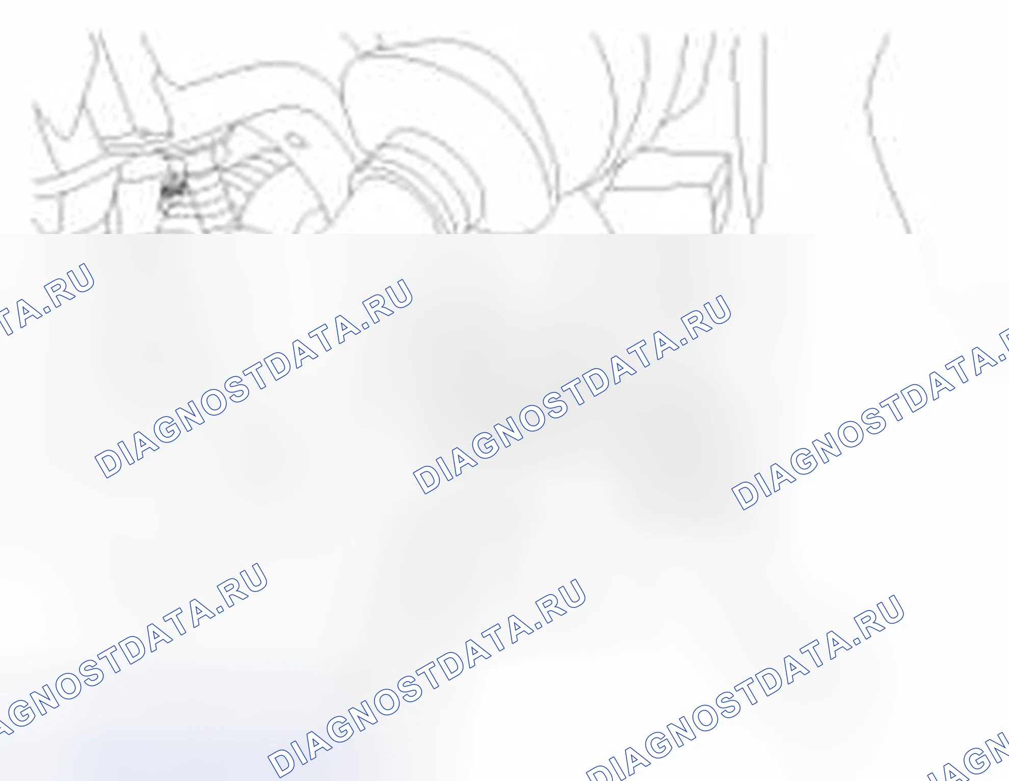 Рис. 33. Haval Beast (Shenshou) I