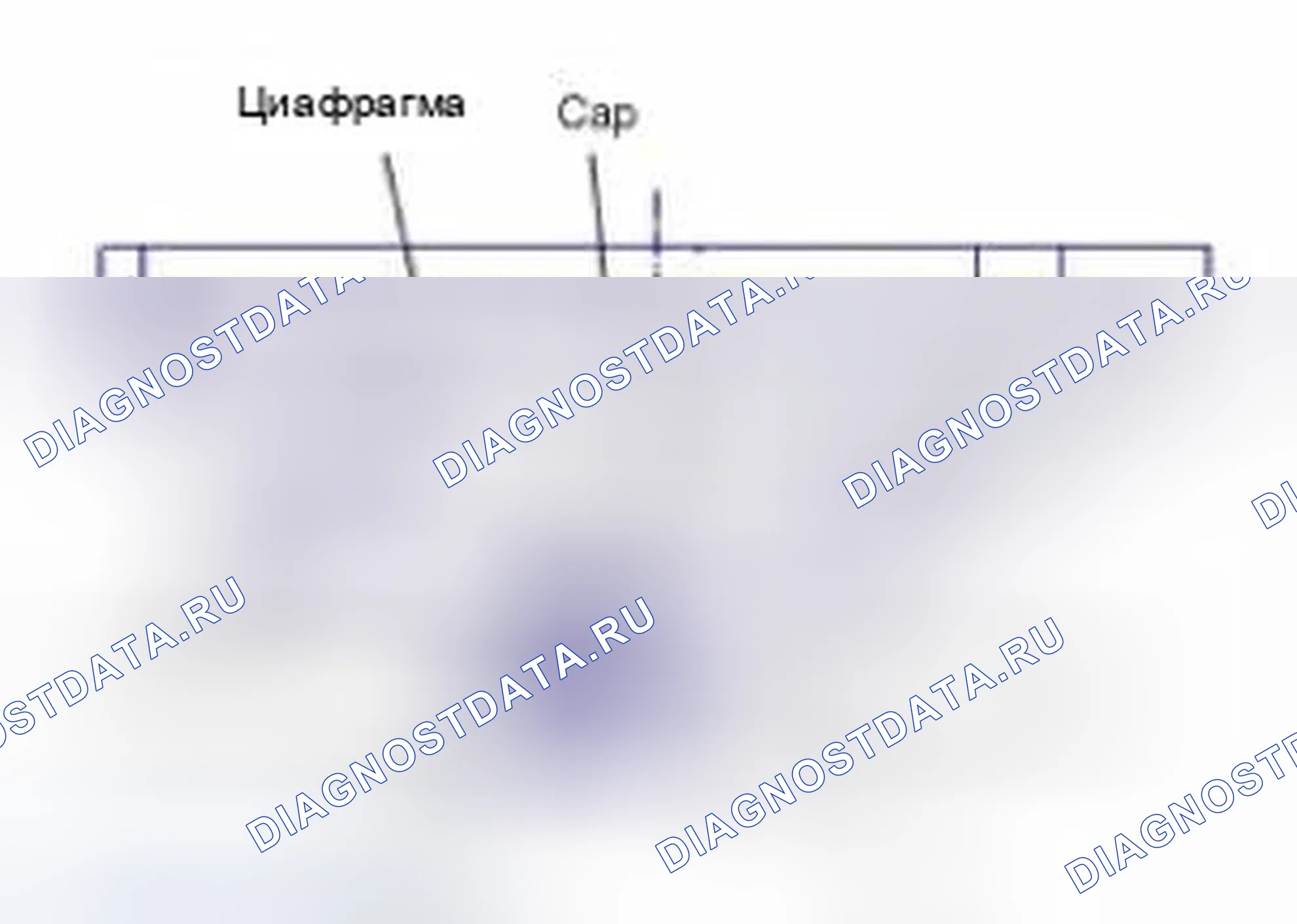 Рис. 11. Hyundai Sonata VI