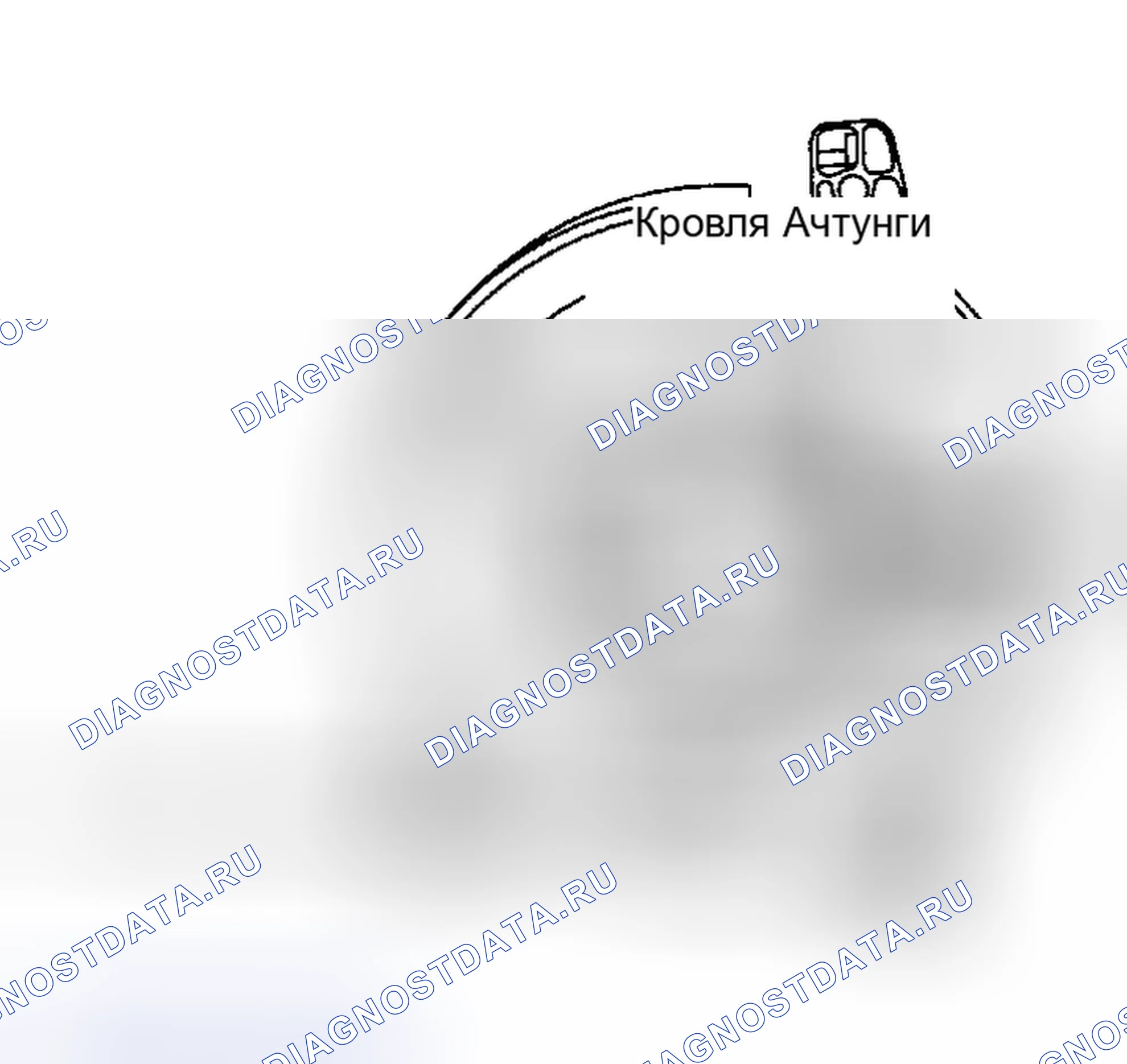 Рис. 2. Hyundai Marcia I