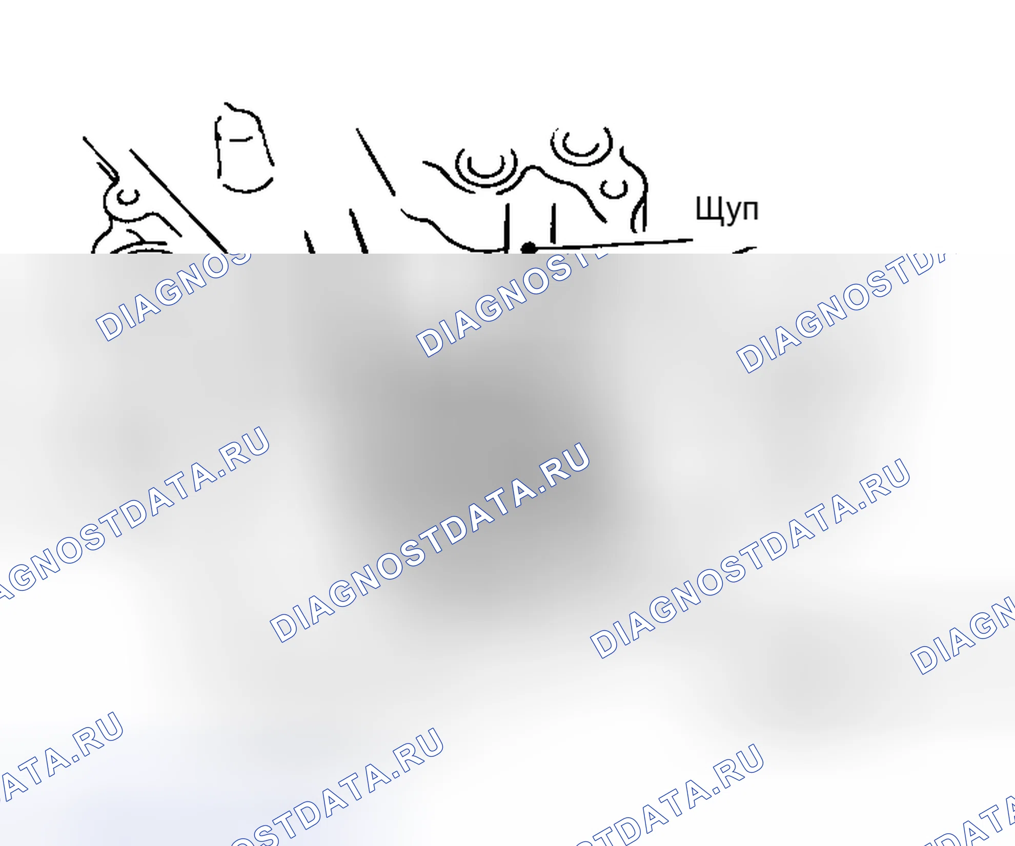 Рис. 10. Honda Stepwgn I